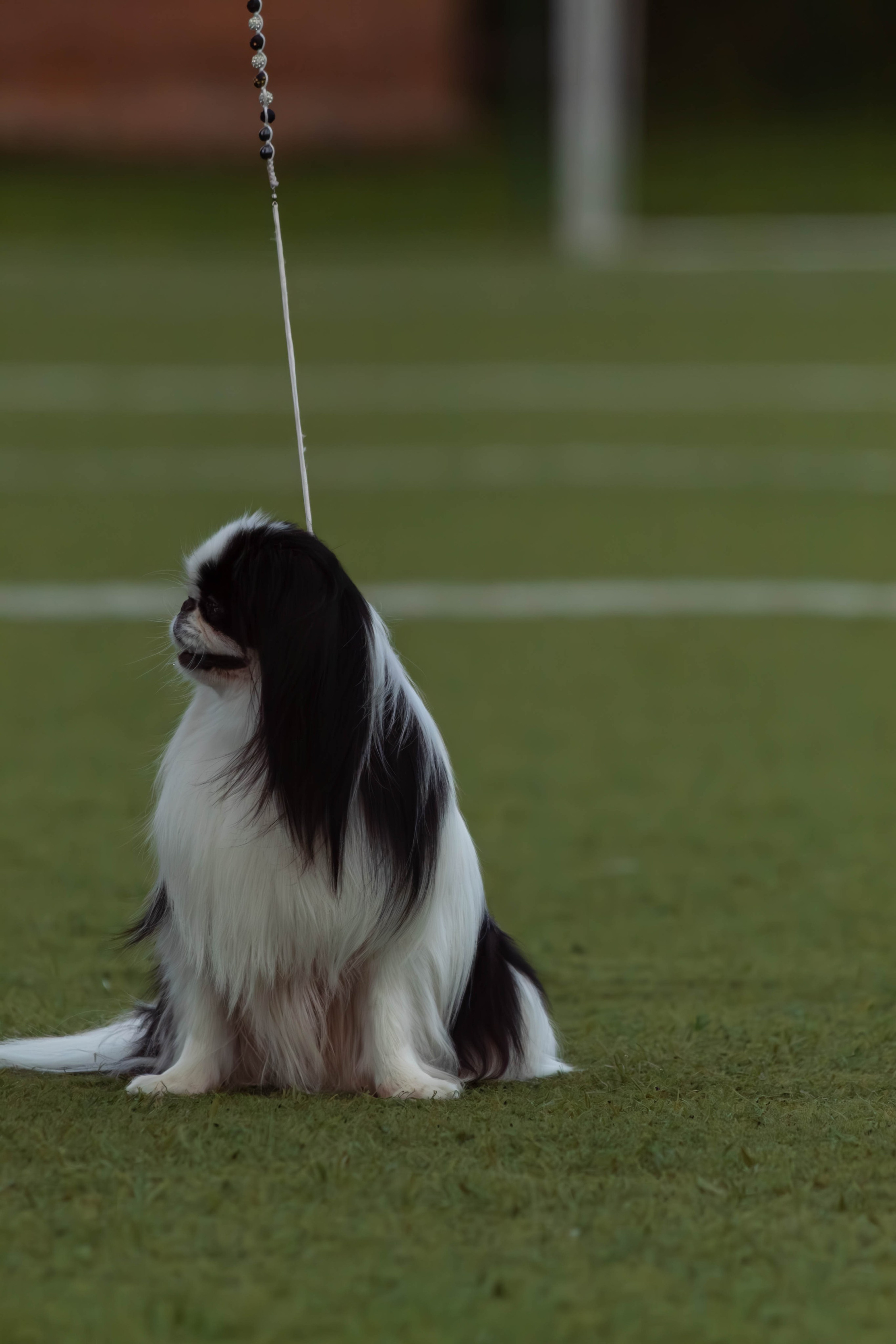 Репортажная съёмка спортивных мероприятий Тула