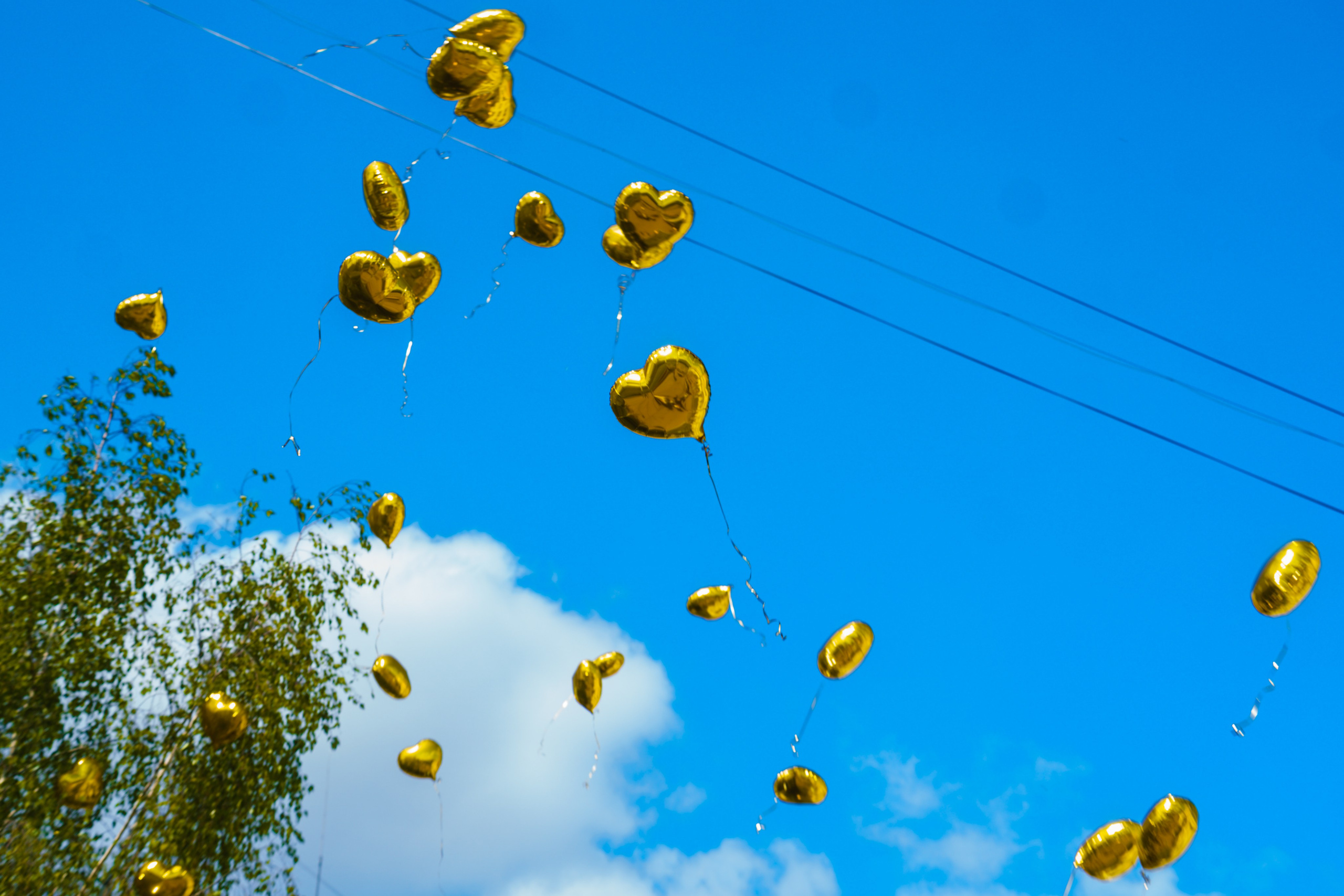 Выпускные. Владислав Кожух | Фотограф | Видеограф | Режиссёр