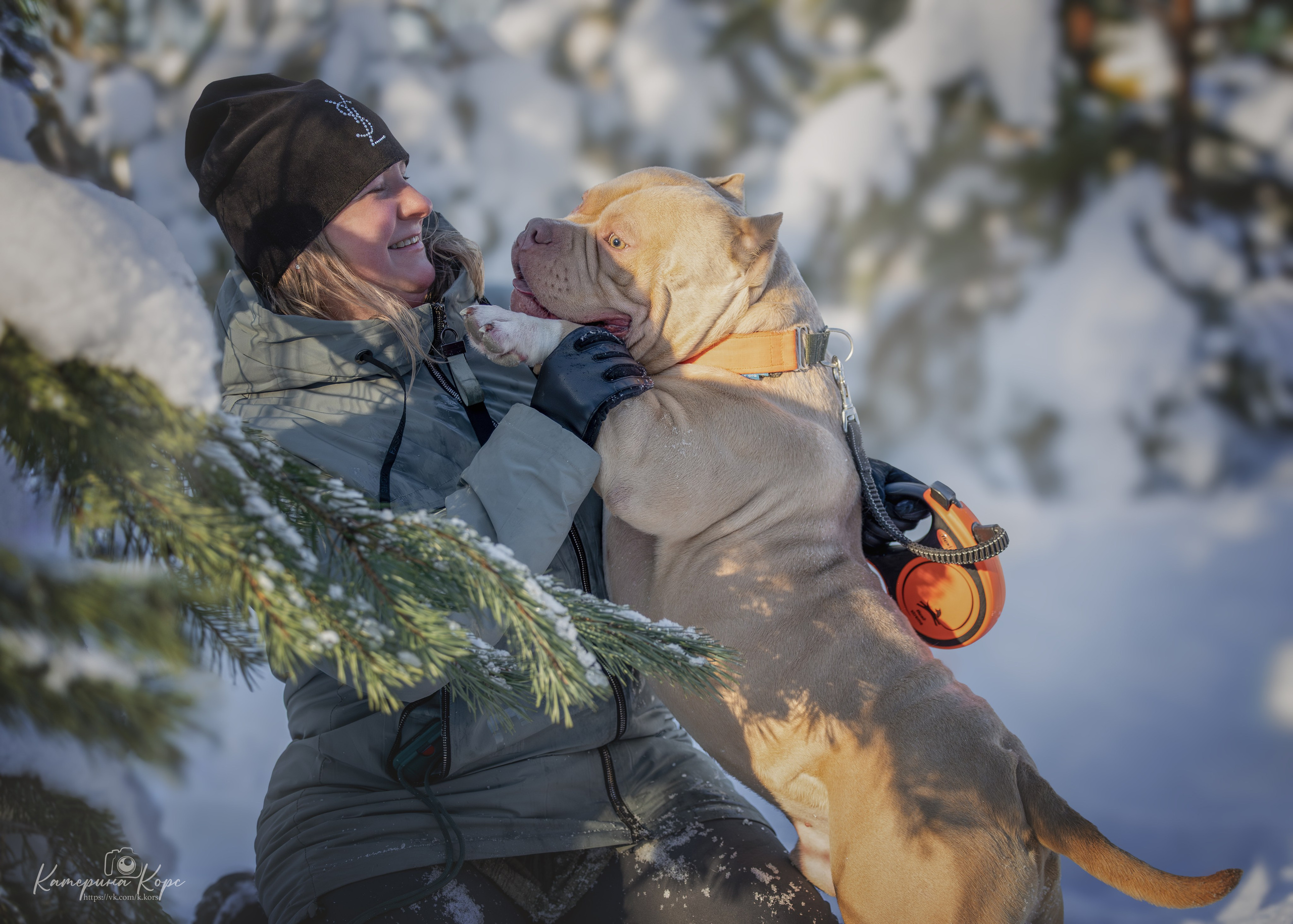 Собаки и люди. Главная