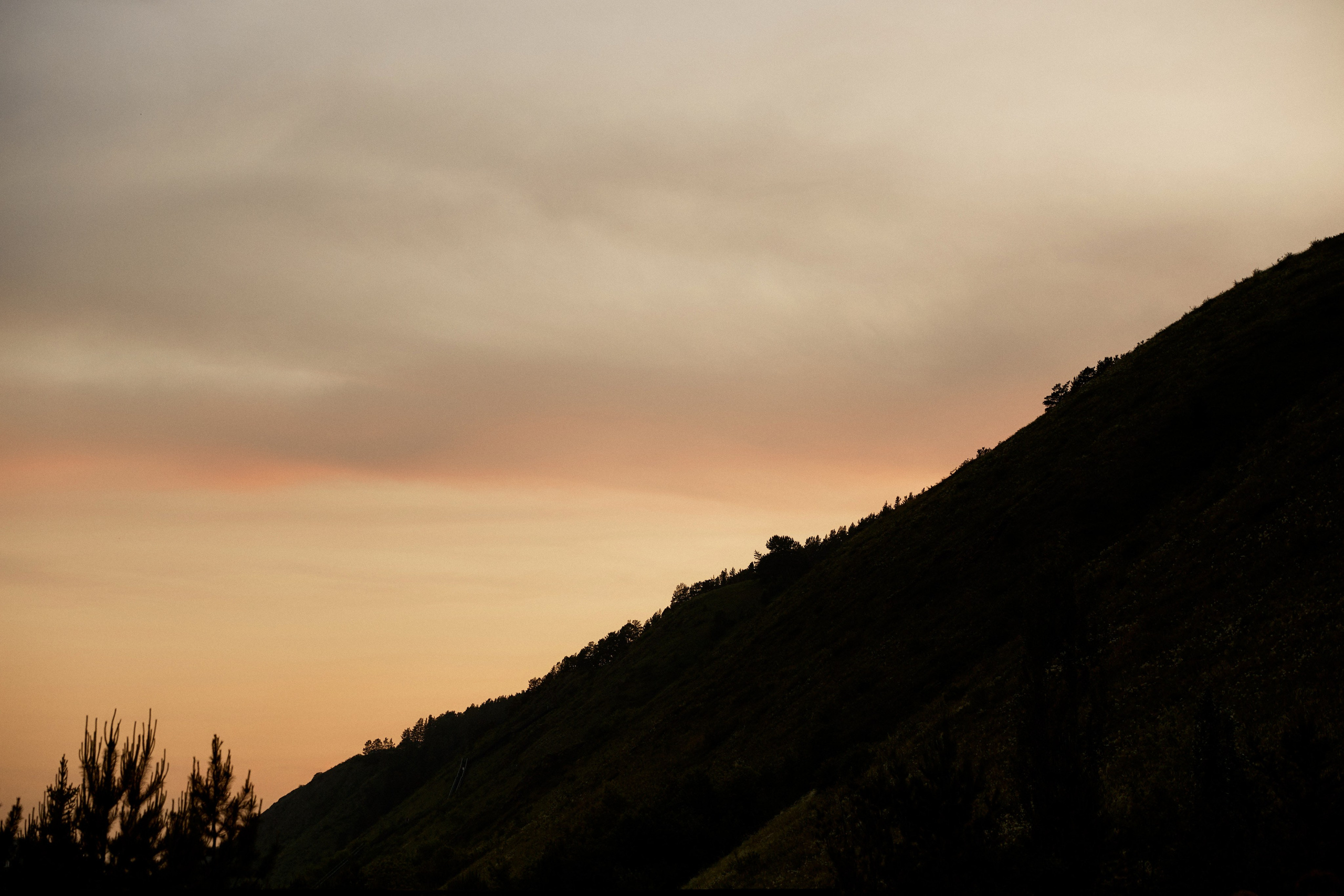 Посмотреть серию. Свадебный и семейный фотограф в Красноярске Тряпчев Павел