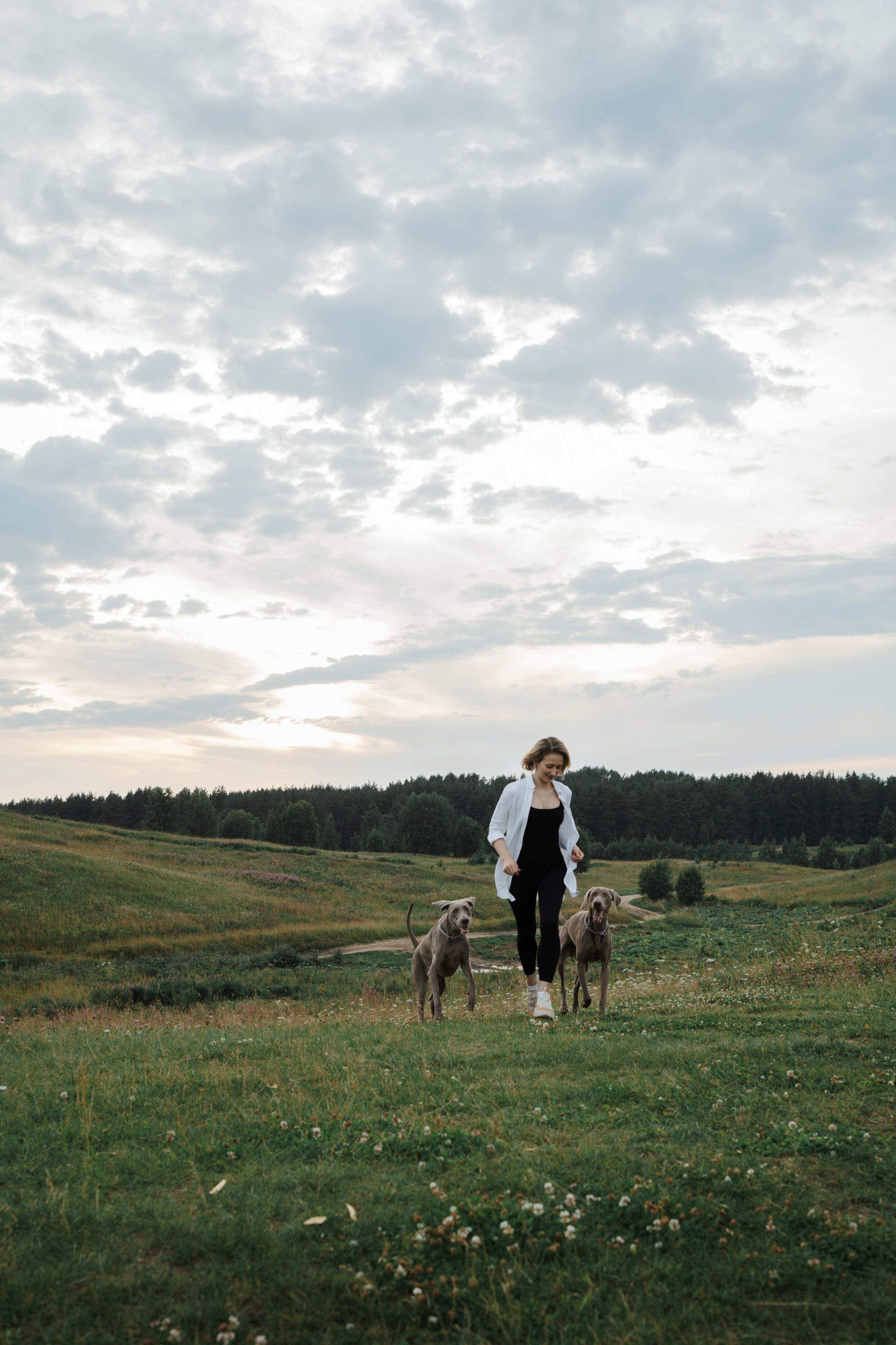 Маргарита и веймаранеры. Фотограф-анималист в Санкт-Петеребурге Титова Алиса