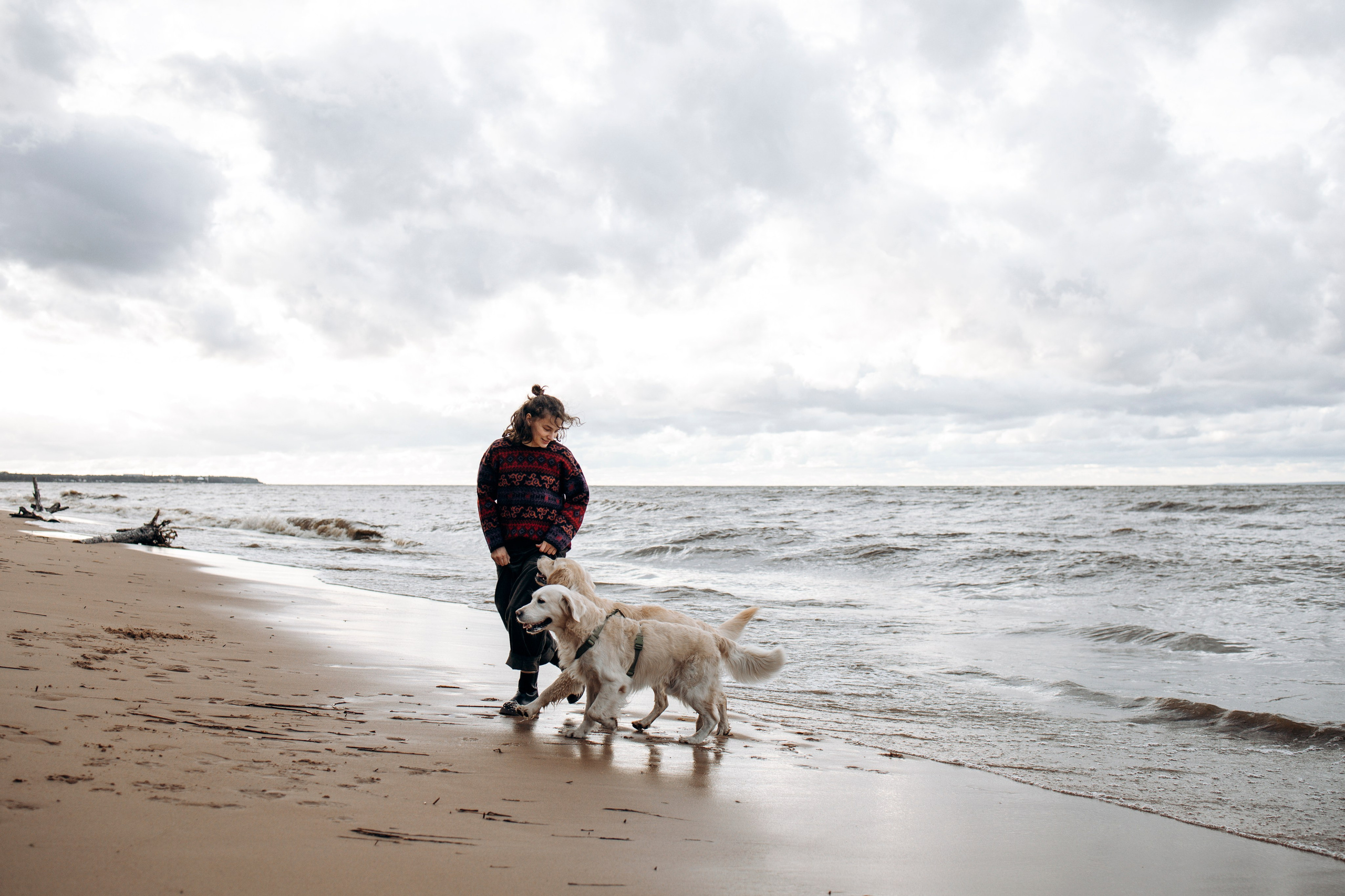 Прогулка Насти с Арчи и Арагоном. Фотограф-анималист в Санкт-Петеребурге Титова Алиса