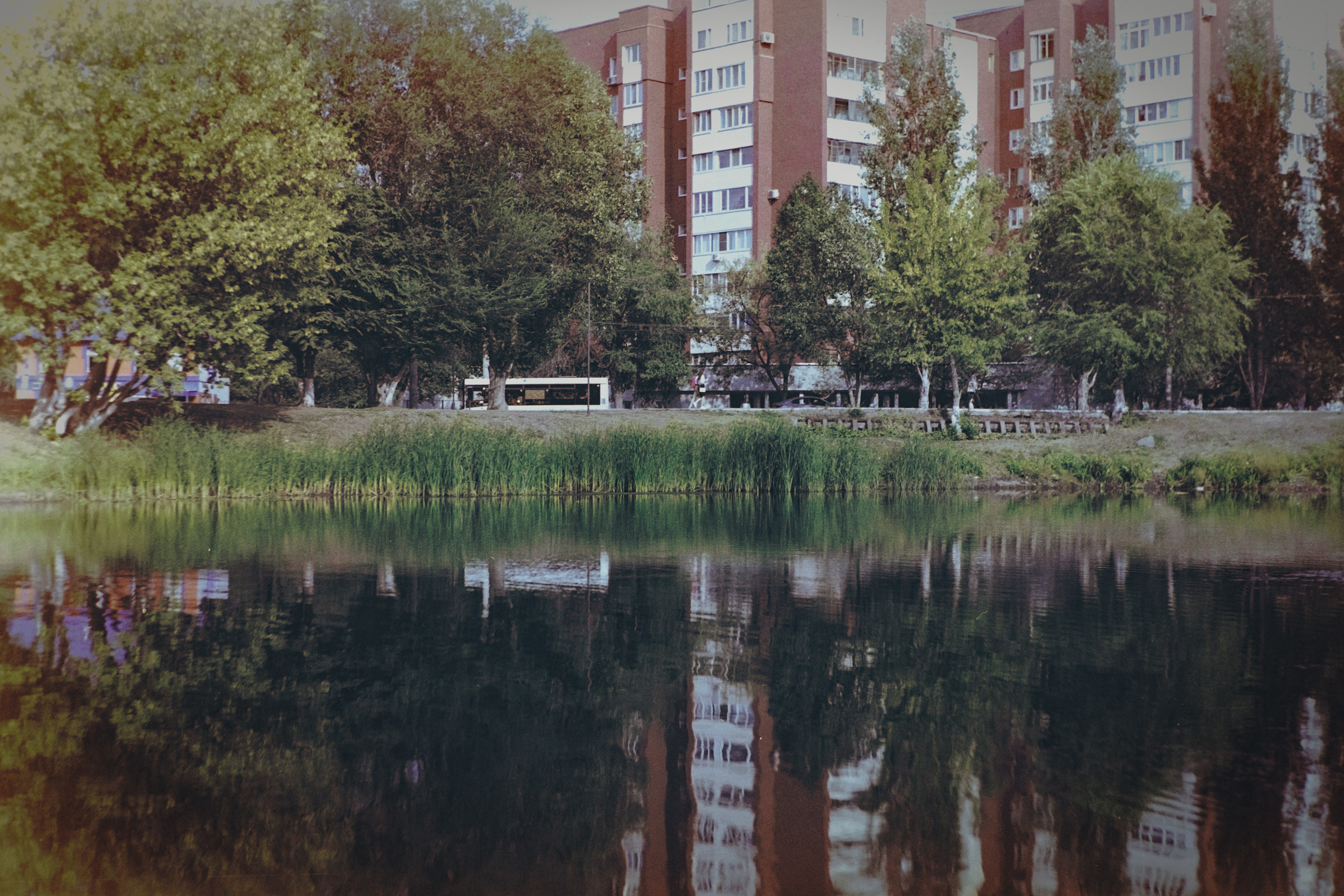 Пленочная история. Дмитрий Пропадалин, Нейрофотография