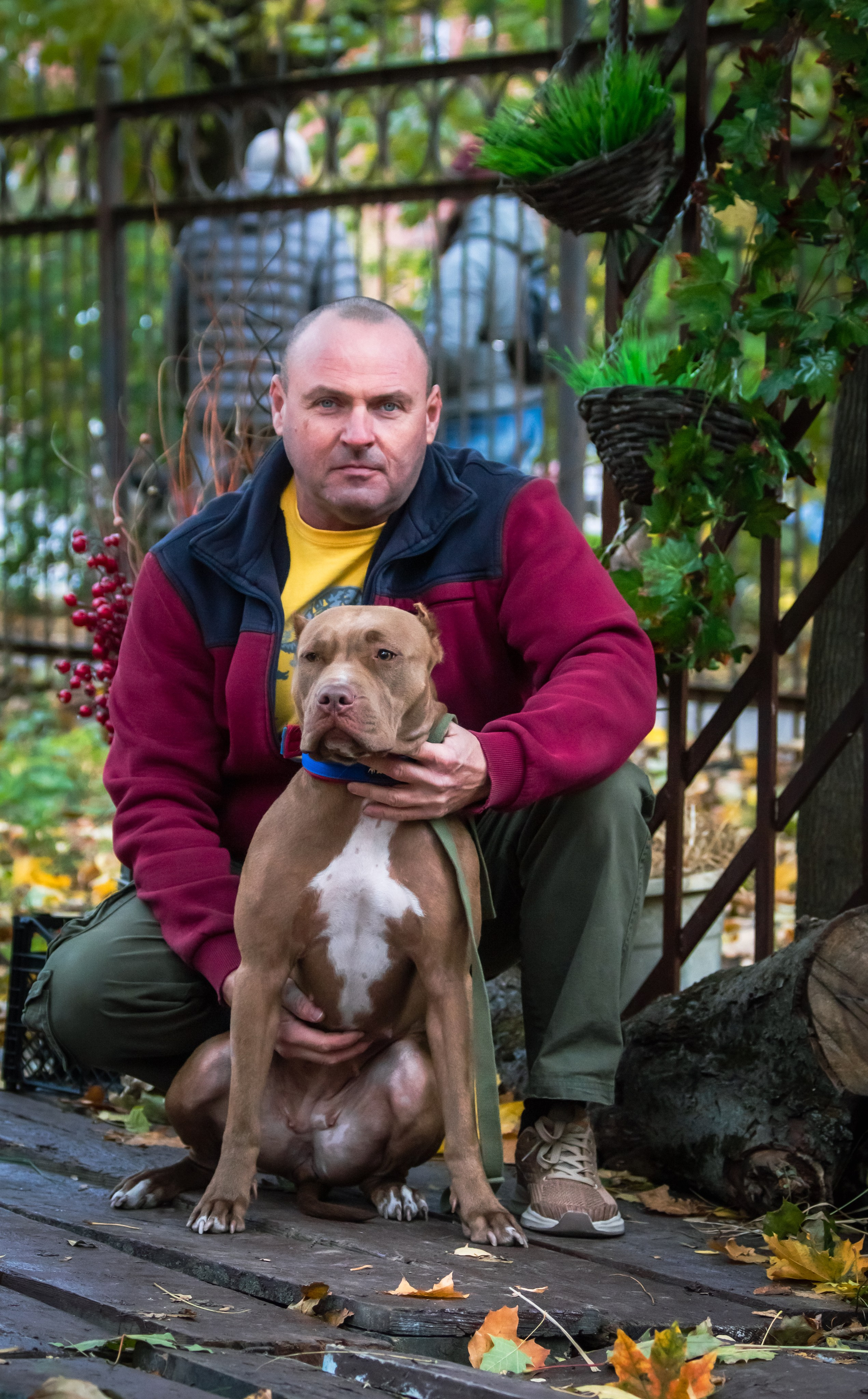 Костюмированный парад собак. Фотограф анималист — Тула, Москва