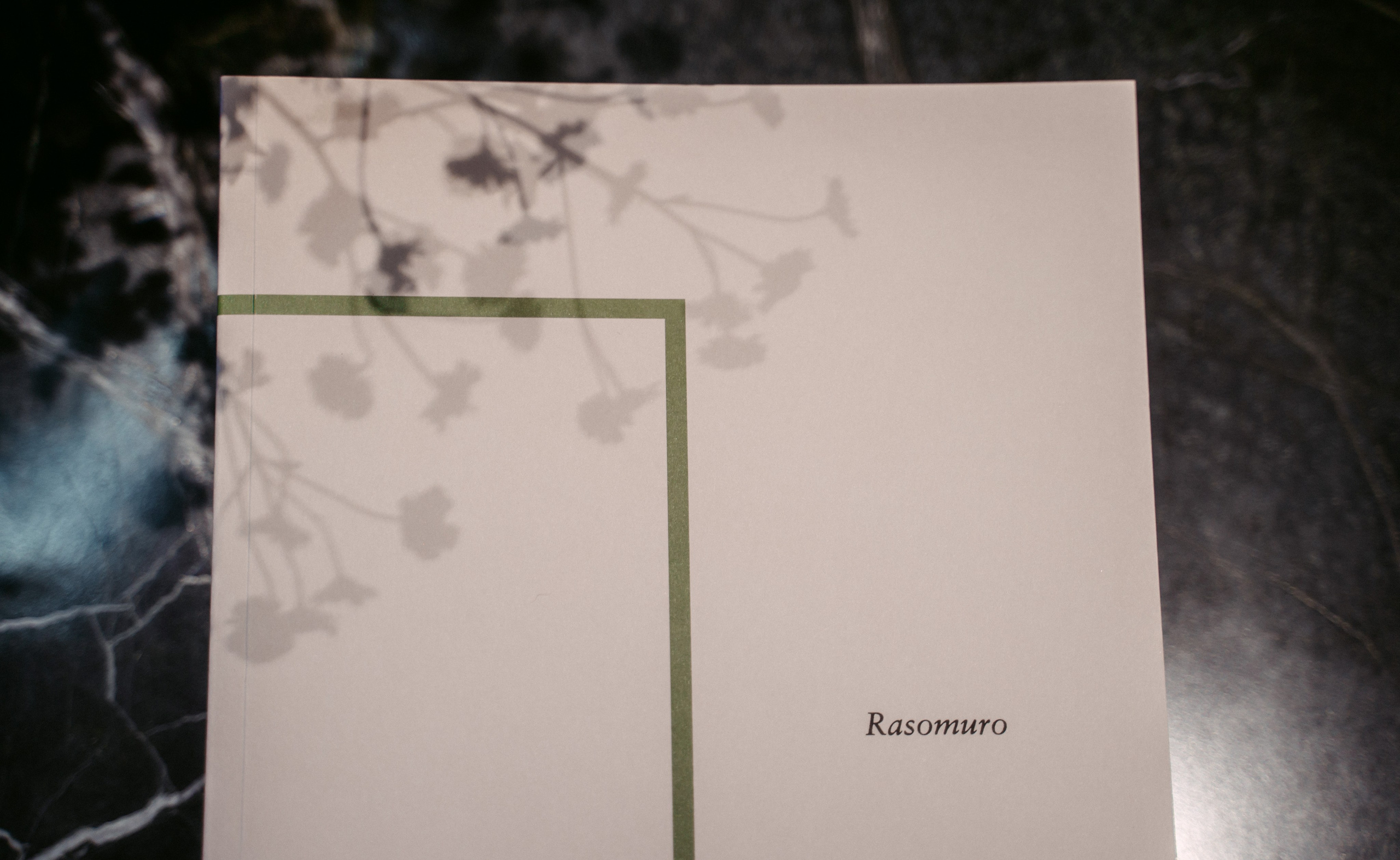 Cesar, Lualdi. Презентация итальянских брендов / 2024. Саша Копылов, фотограф в Казани