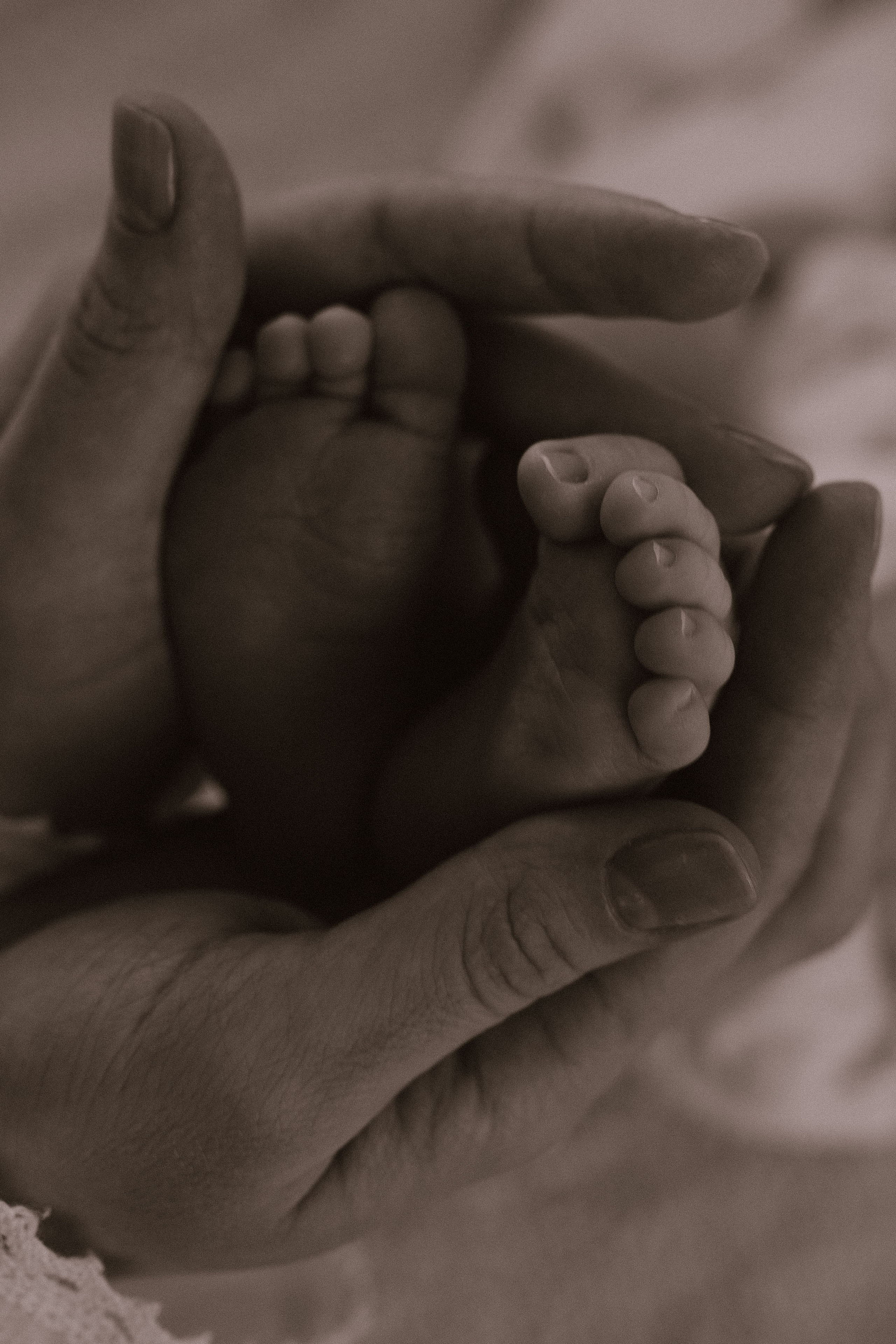 Анонс. Фотограф в Ставрополе Svetlana Matveeva