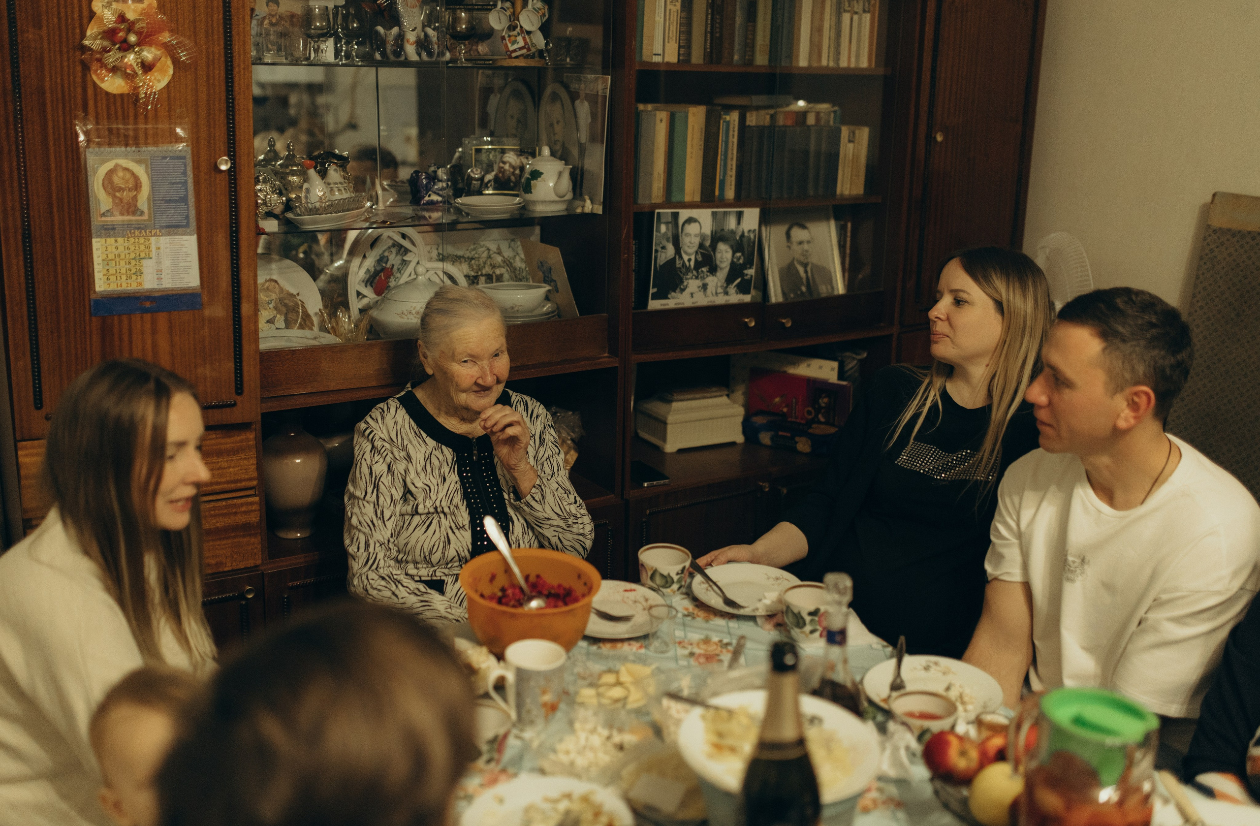 Домашняя история. Meryfotoidea