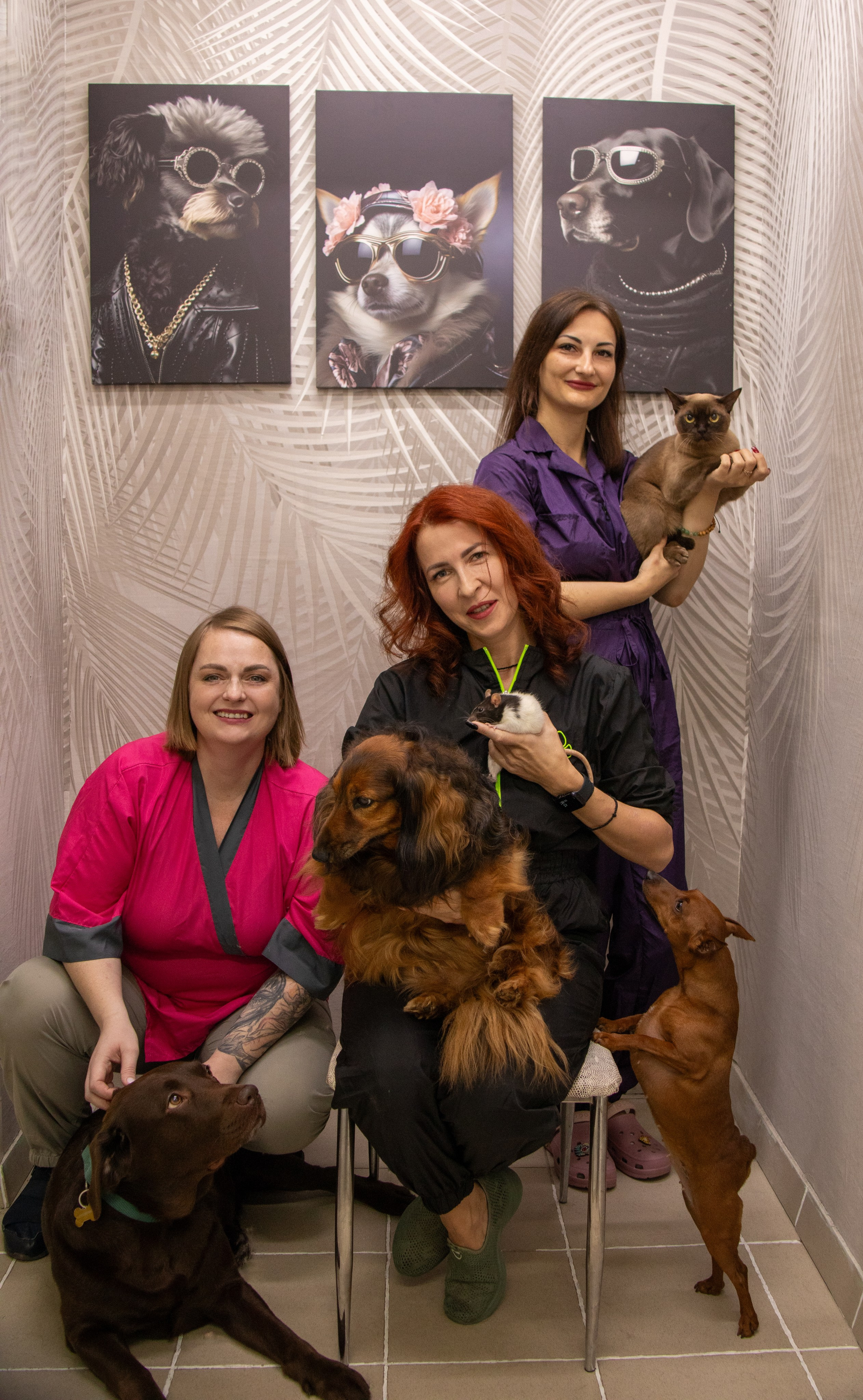 Салон стрижки собак «Лили». Алексей Климков. Фотограф для Вашего бизнеса и частных съемок в Минске и по Беларуси