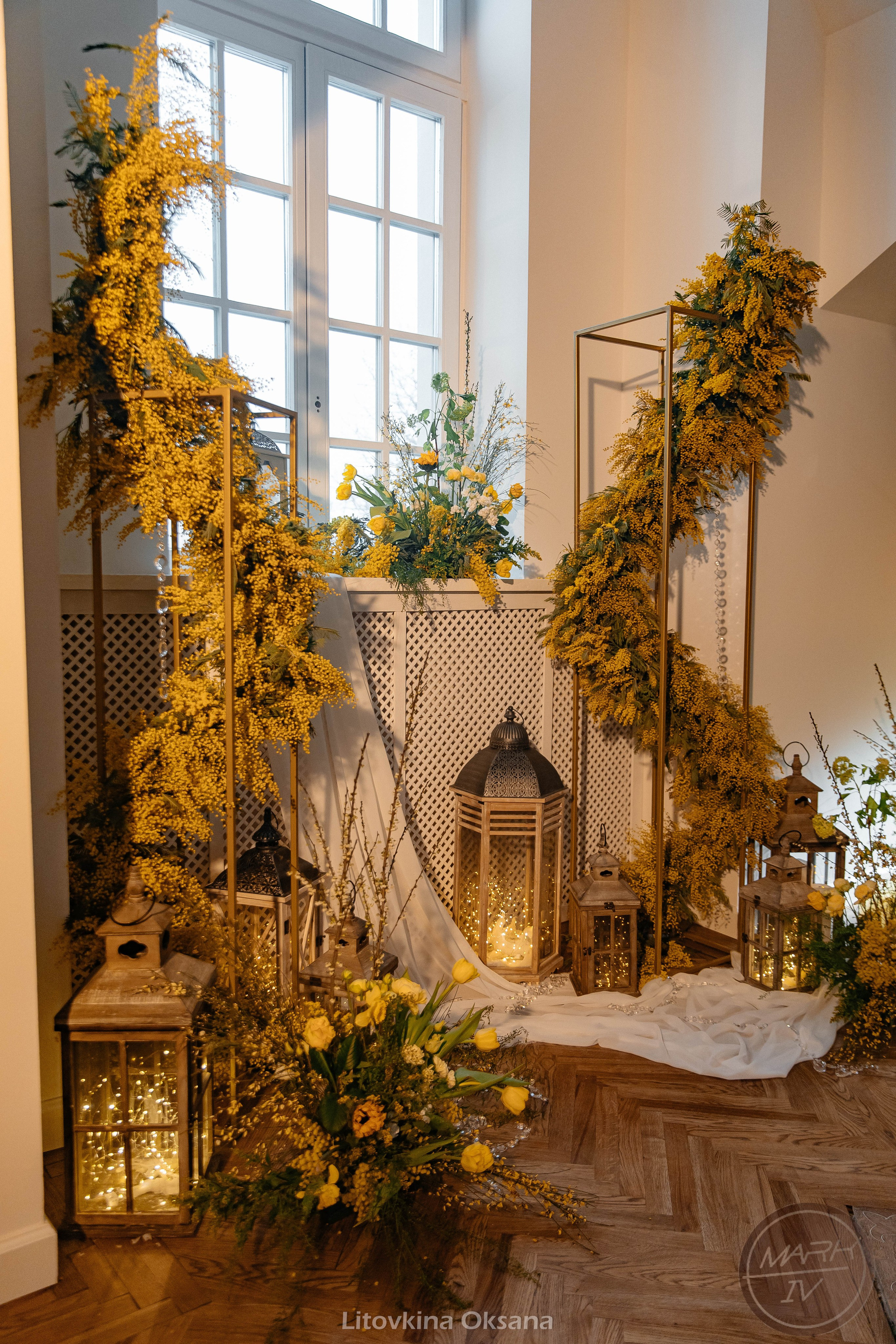 Открытие фотостудии Mark IV. Свадебный и репортажный фотограф МОСКВА