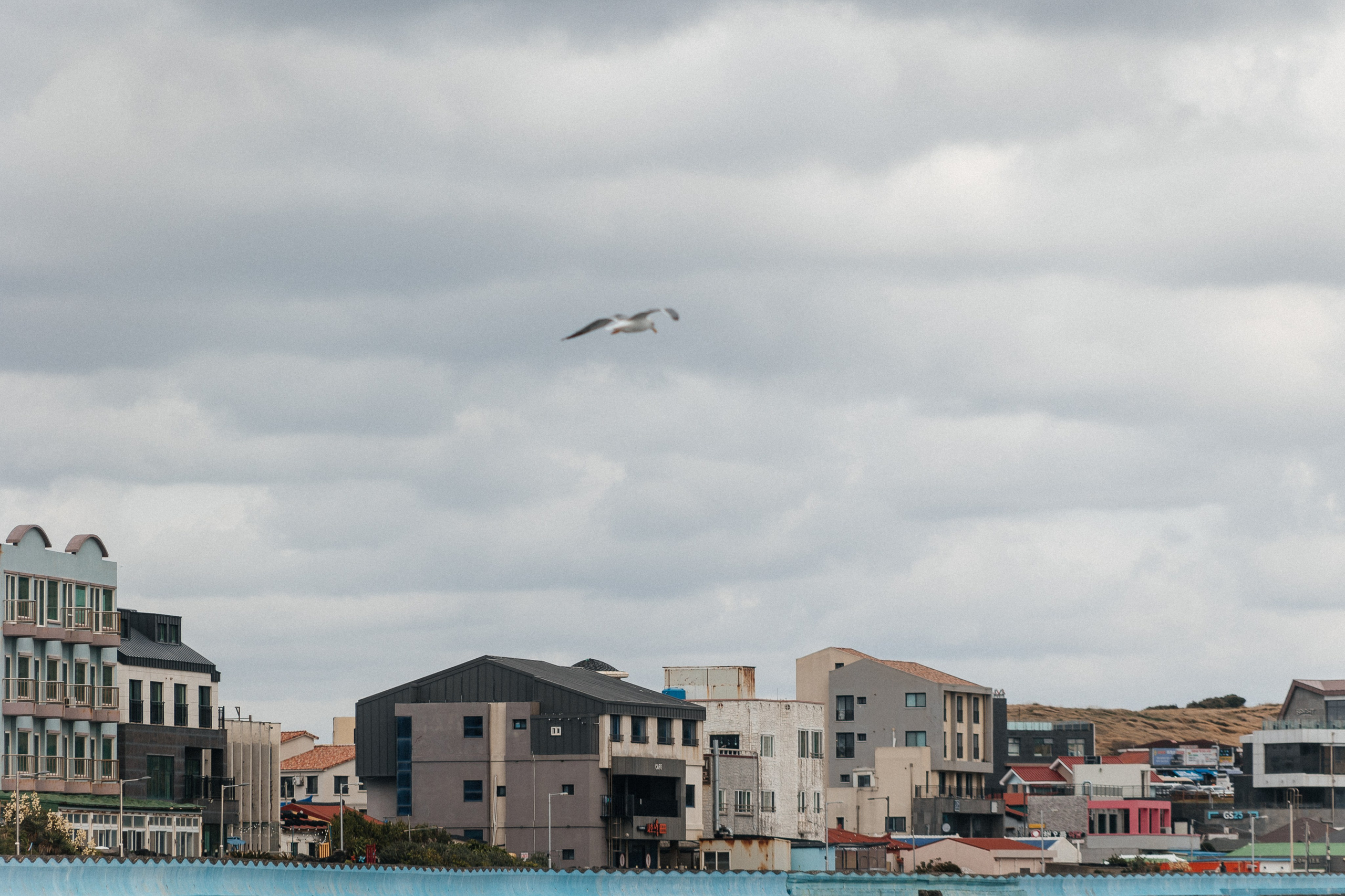 Jeju, South Korea. Свадебный фотограф Москва и МО Паншина Дарья