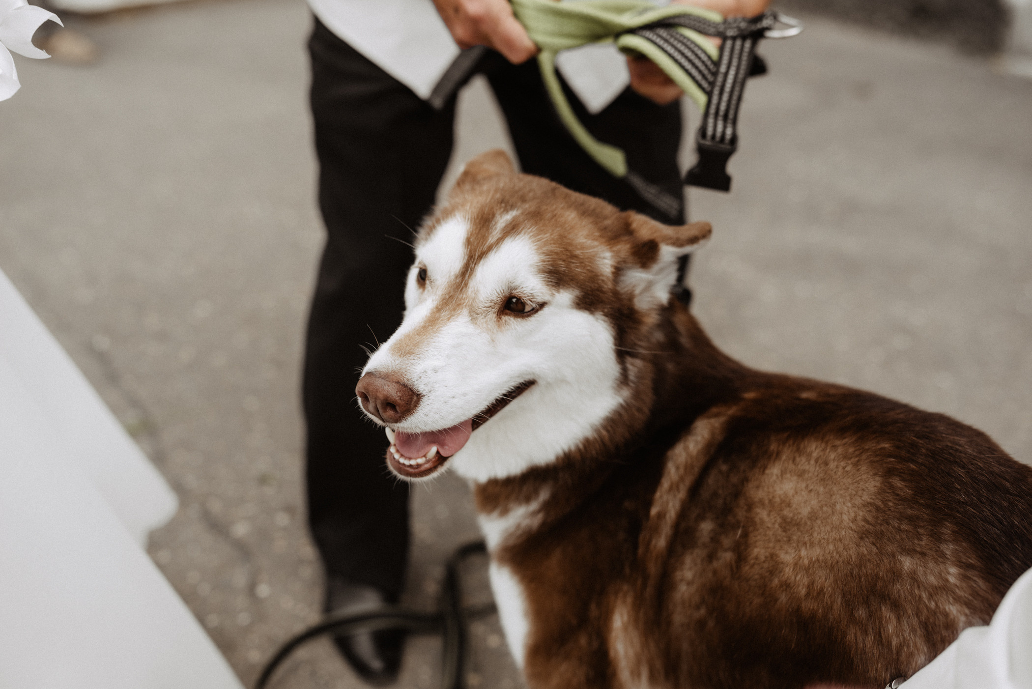 Артур & Мария. Фотограф Дмитрий Кузнецов
