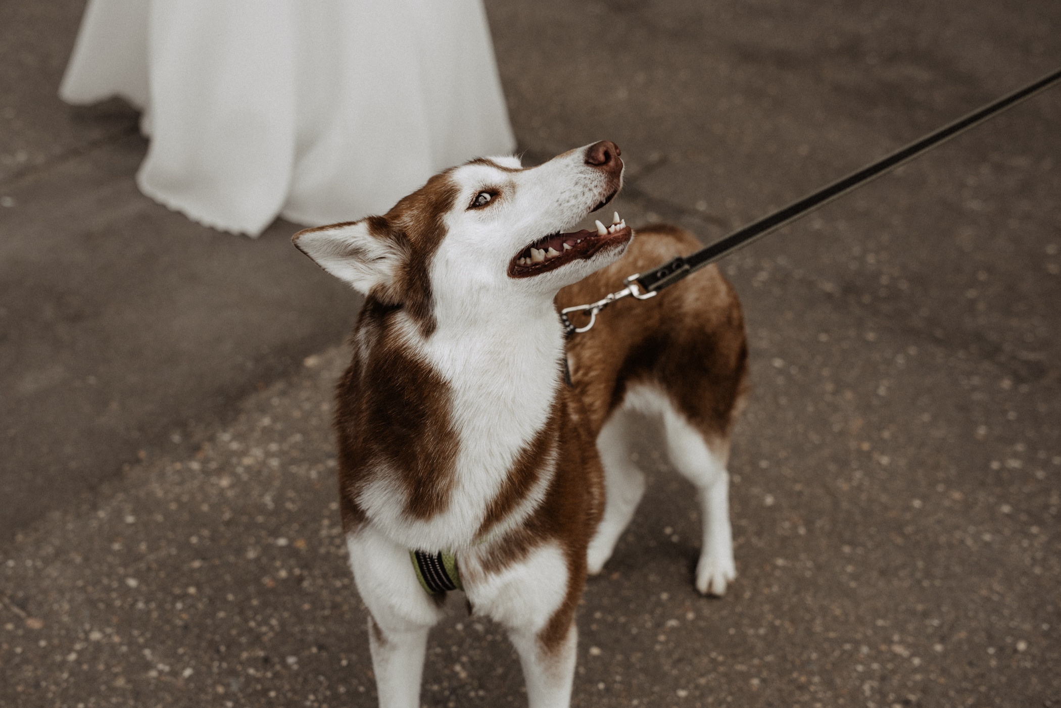 Артур & Мария. Фотограф Дмитрий Кузнецов