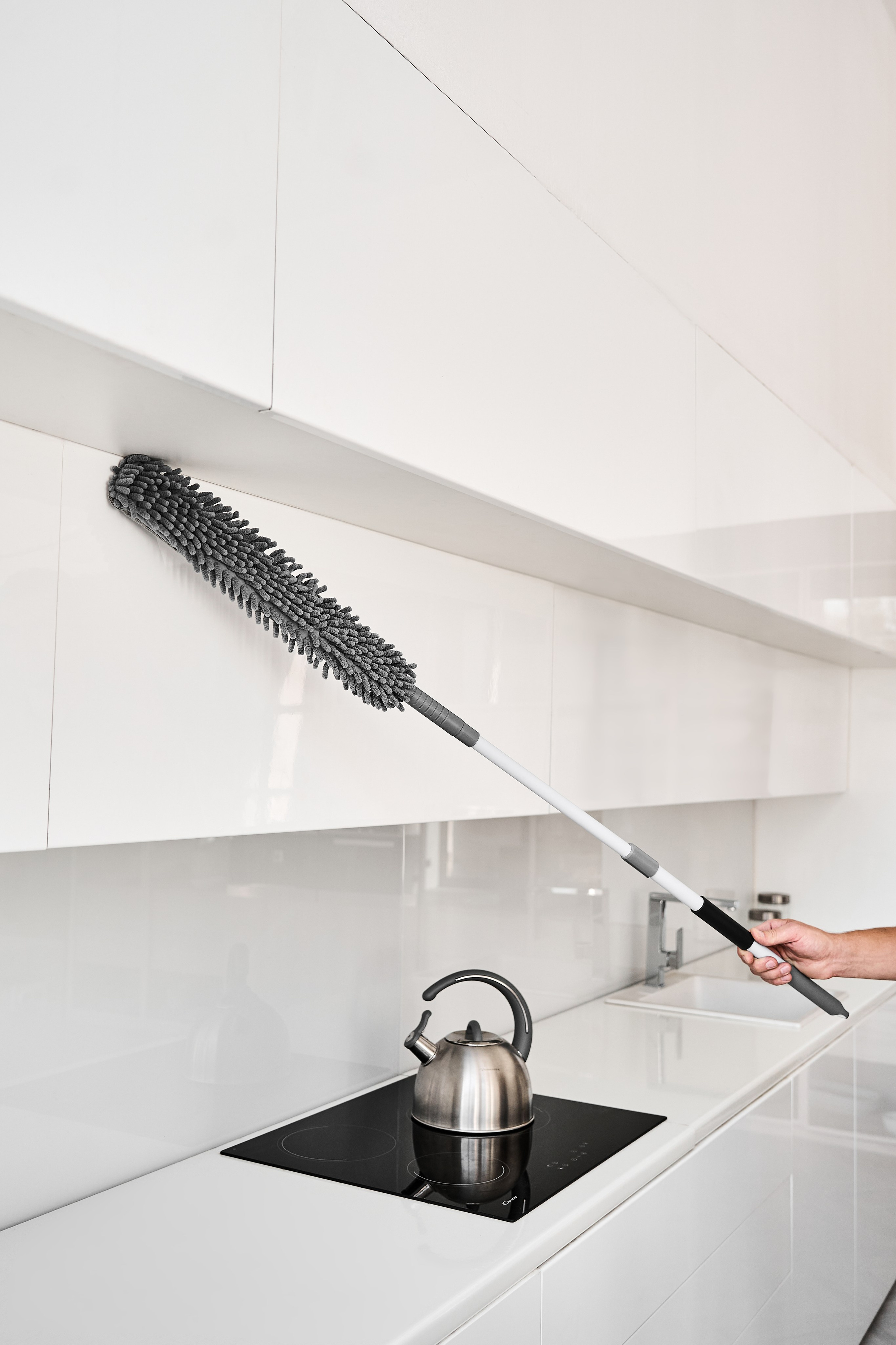 White cat. Фотограф в Москве Казакова Анна