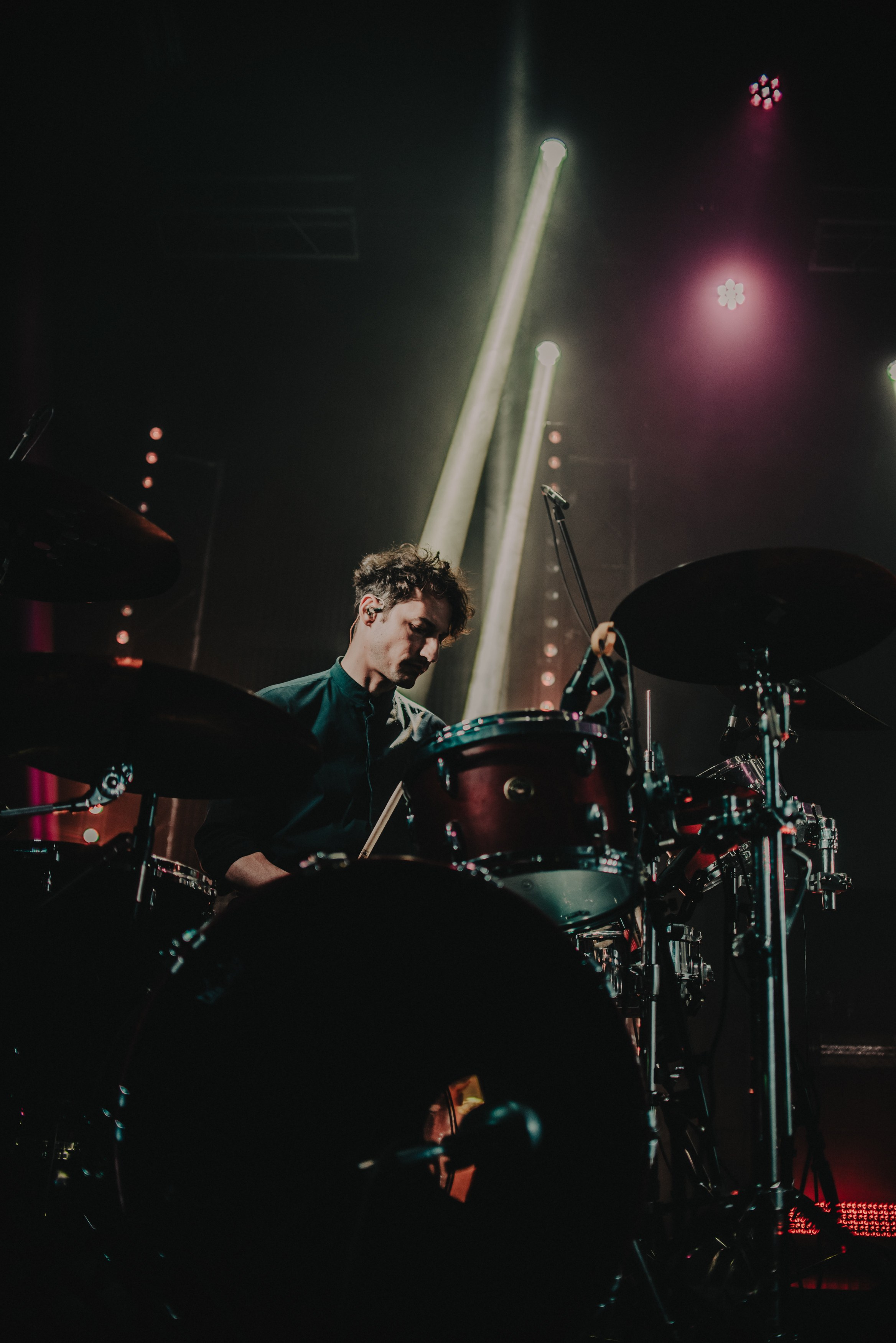 Дельфин | Gaudi. Контент фотограф Илья Урс