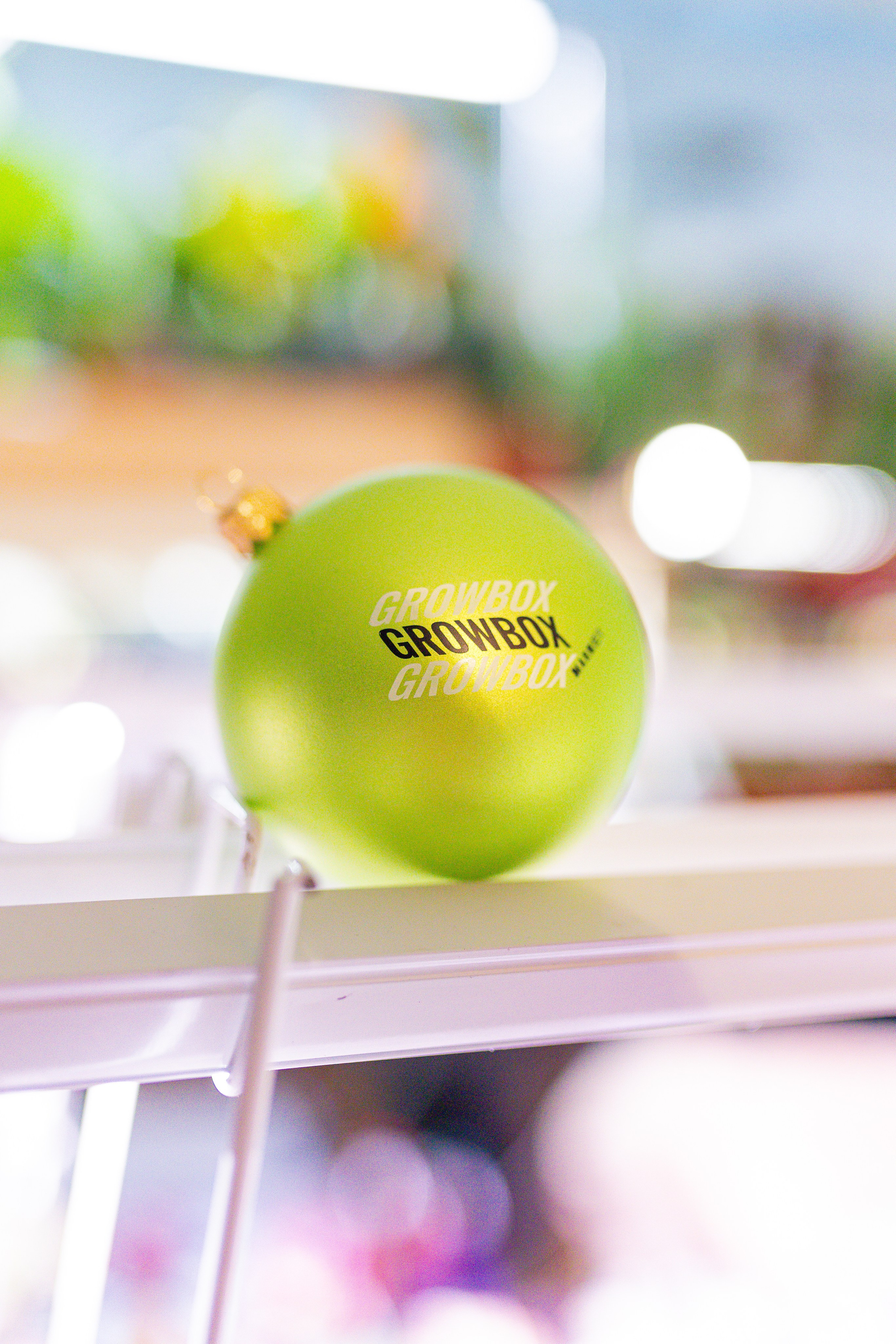 Growbox декабрь 2025. Александра Куликова фотограф, Москва