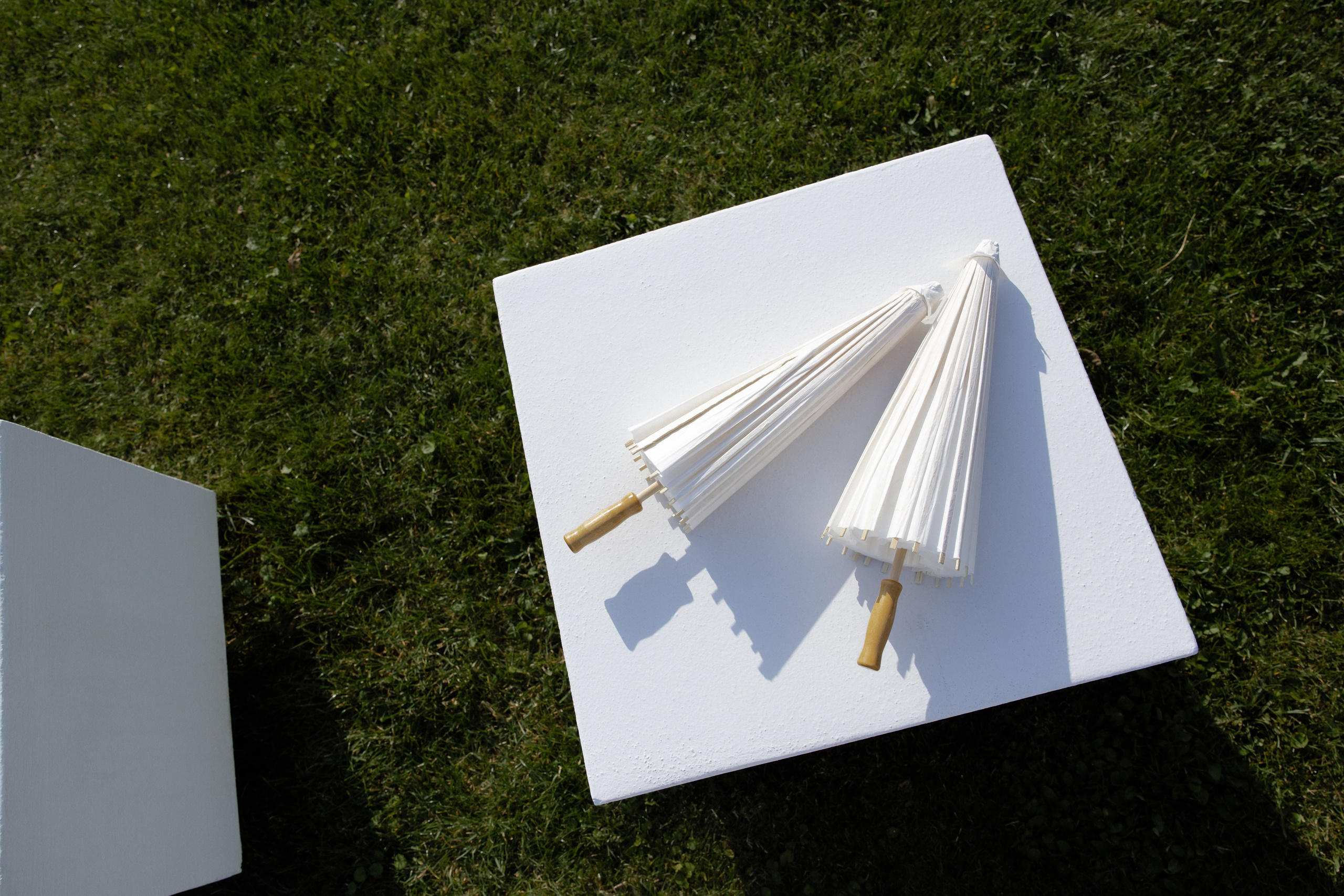 Ростислав и Вика. Свадебный фотограф Анна Бабахина