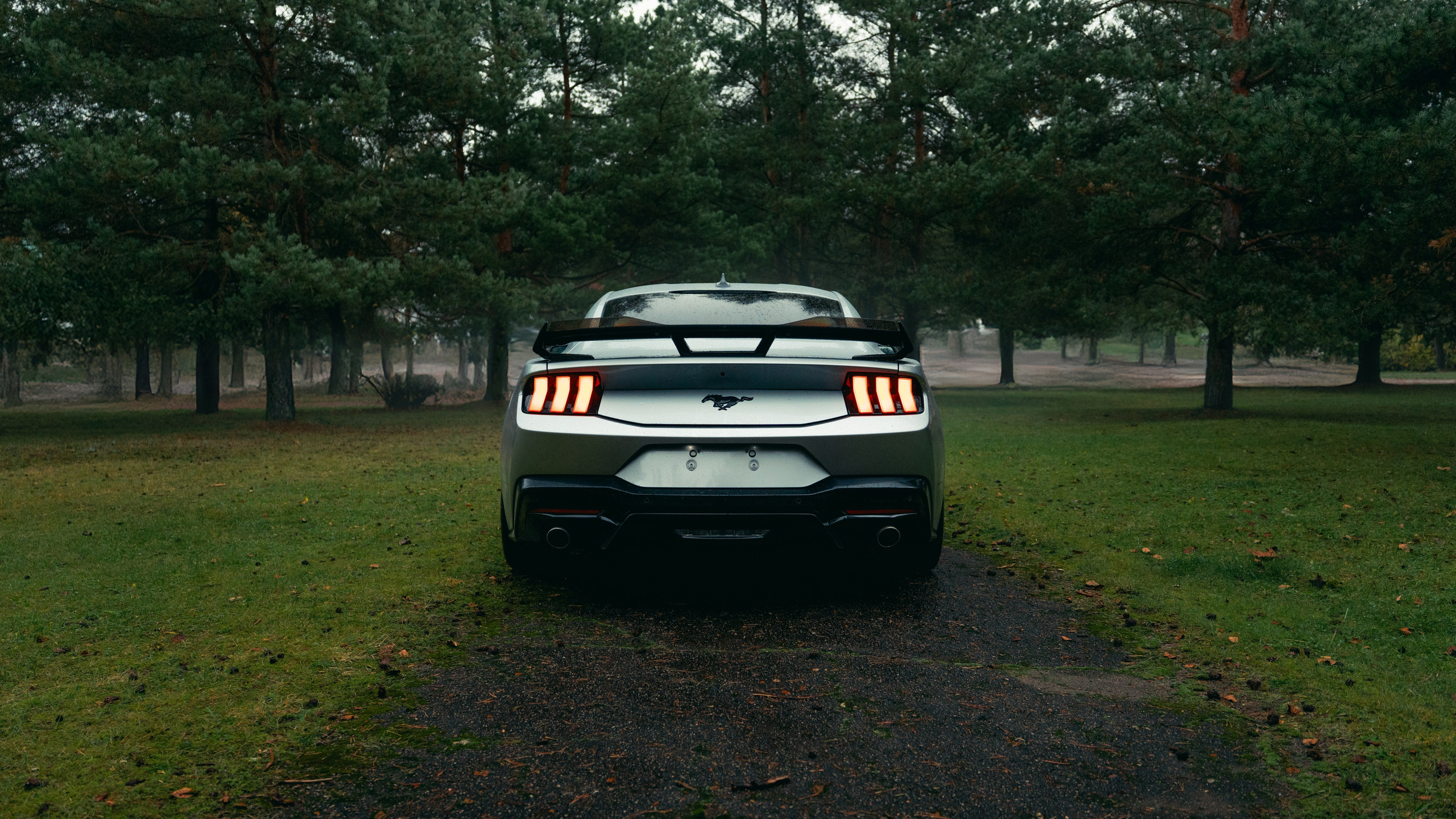 Фотографии Ford Mustang