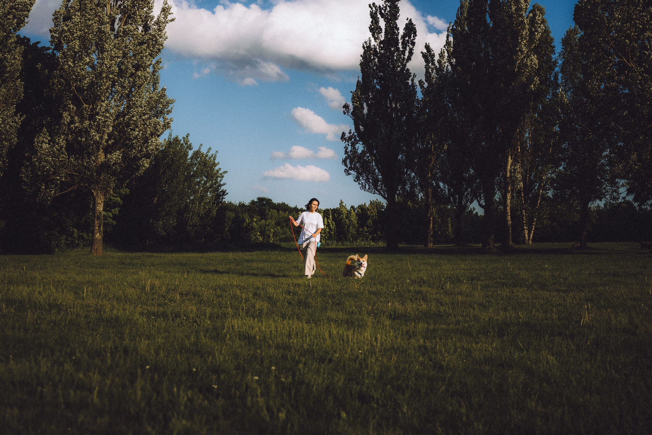 Вирджик и его семья