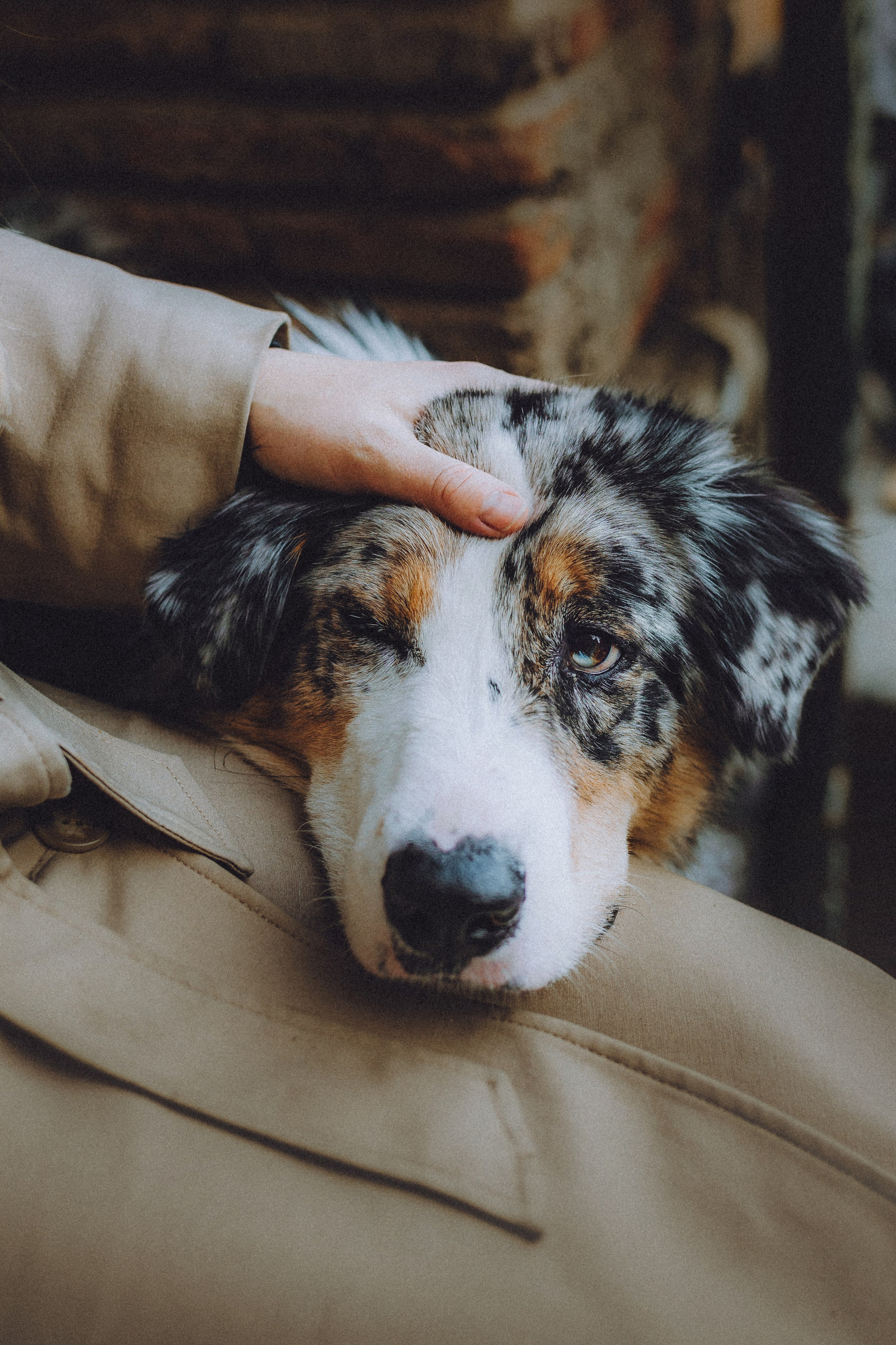 Саша, Рома и Один