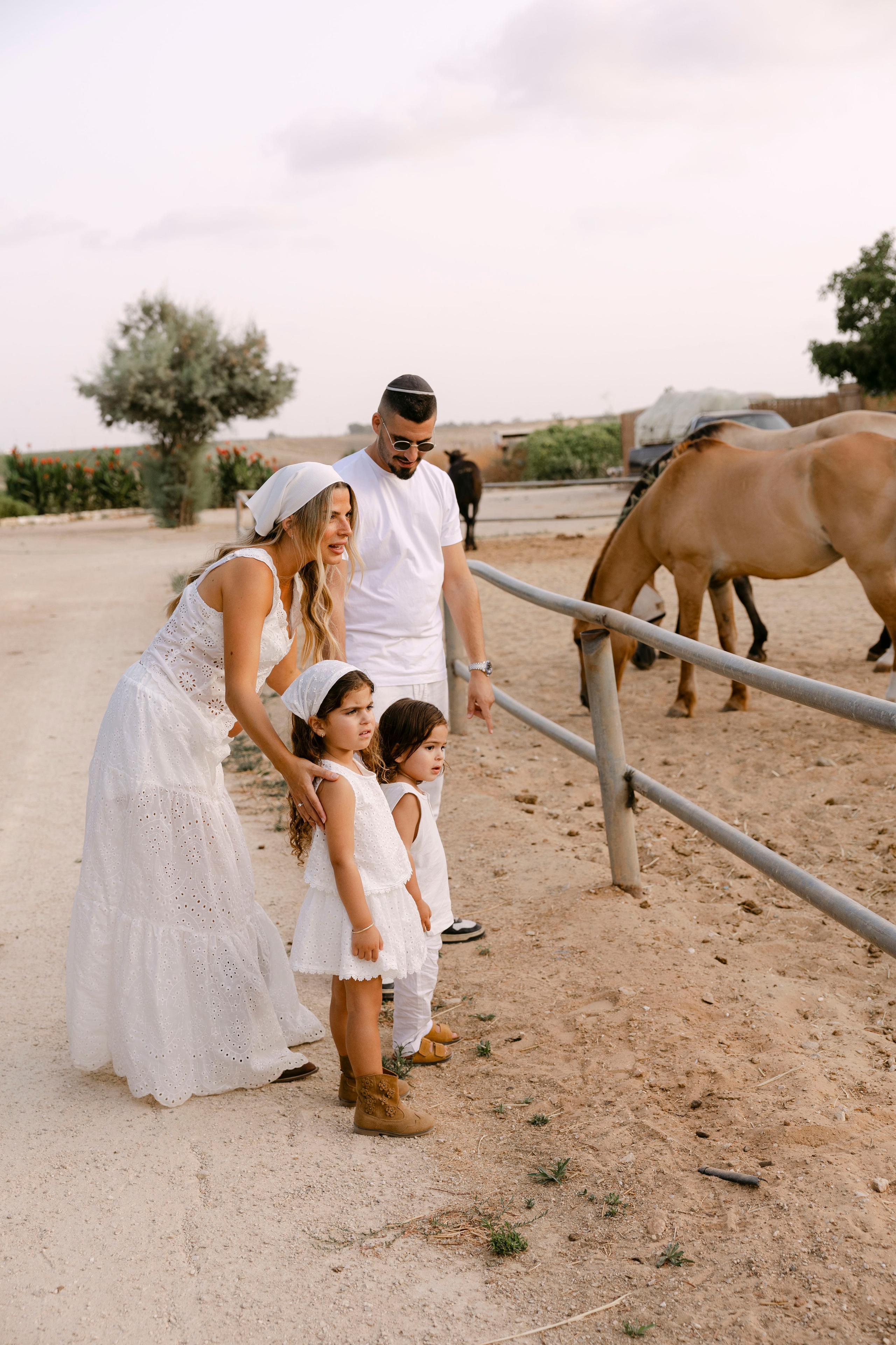 Pregnancy photoshoot at the horse farm. Главная