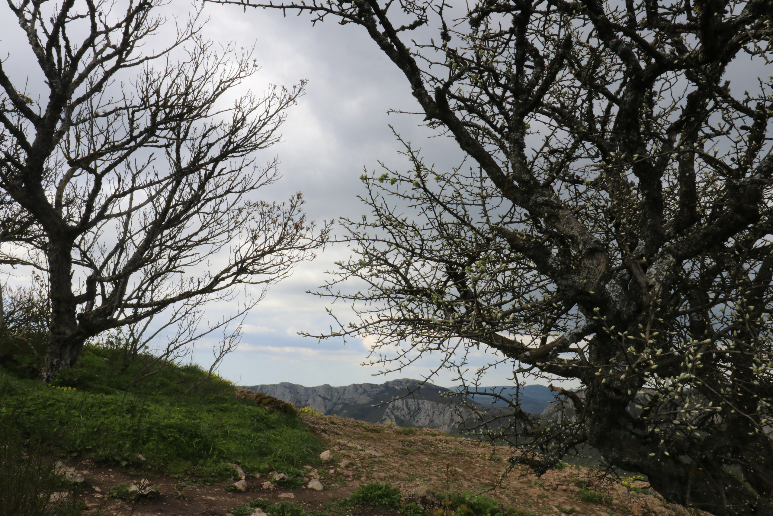 Крым. ЮБК (Севастополь, Кастрополь, Ялта). Май 2023. Путешественник-фотограф из Санкт-Петербурга Татьяна Свистулина