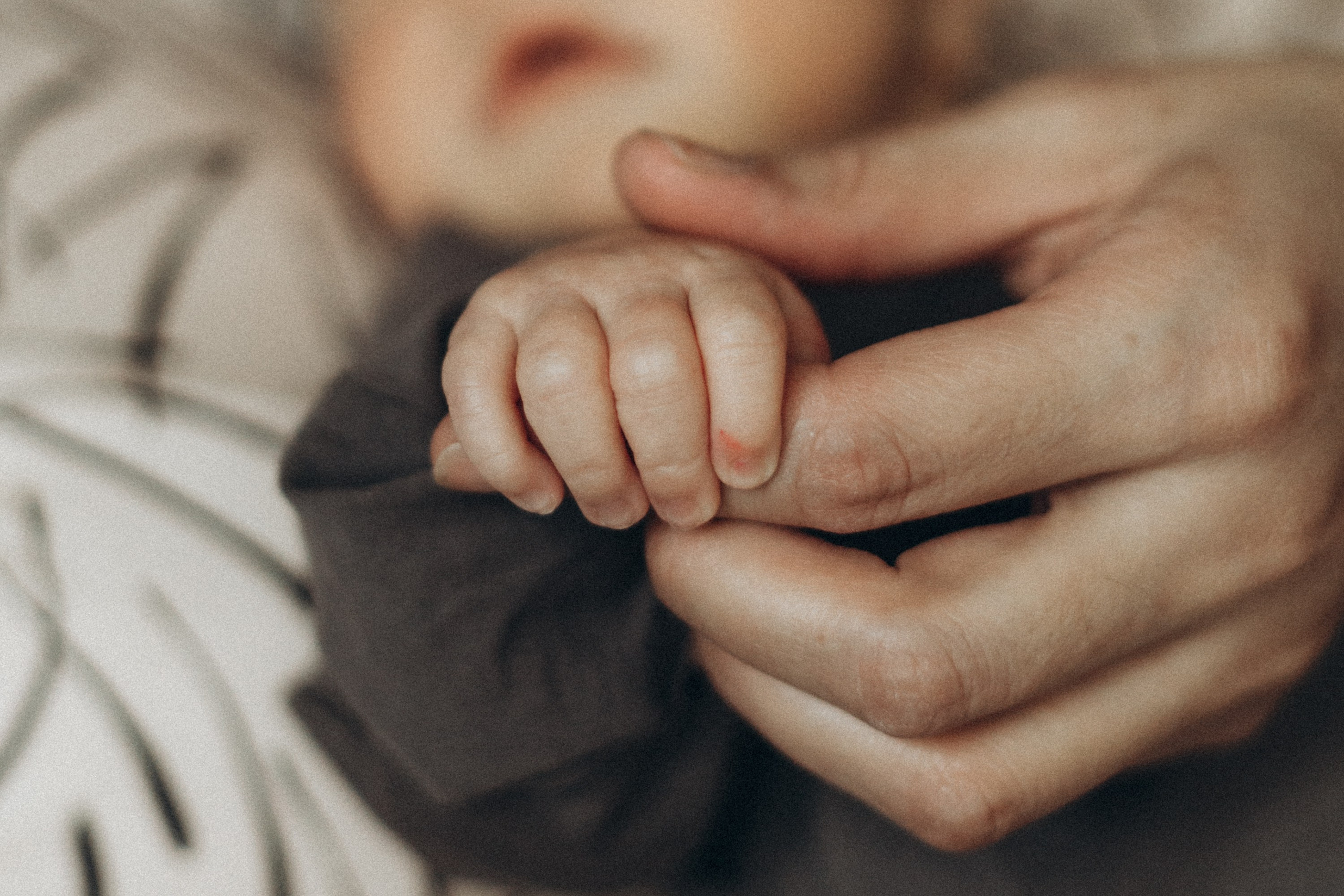 Муслим, Элина, Шакира, Эвелина, Шухрат. Семейный фотограф Томск