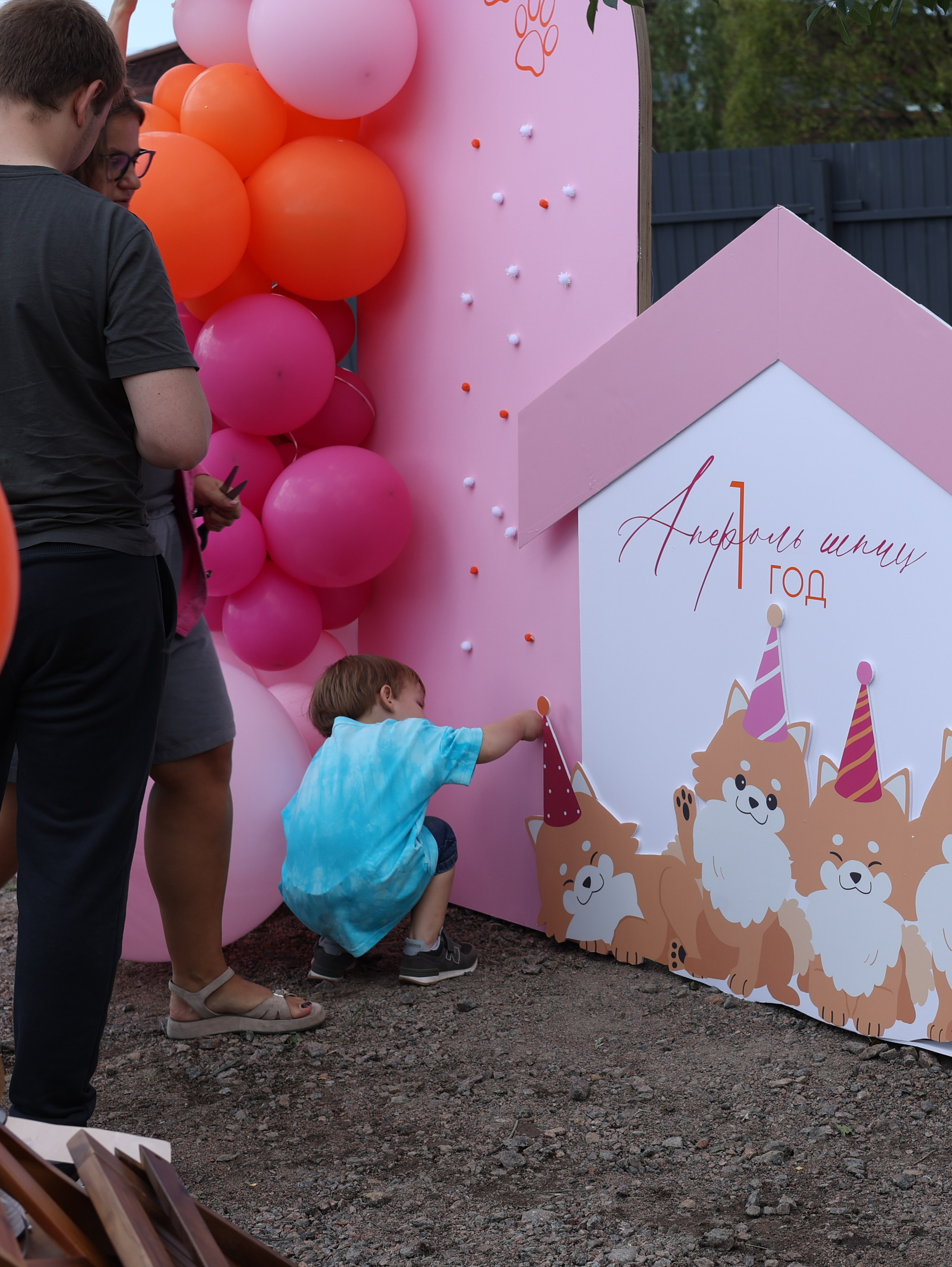 Апероль 1 годик. Фотограф Санкт-Петербург