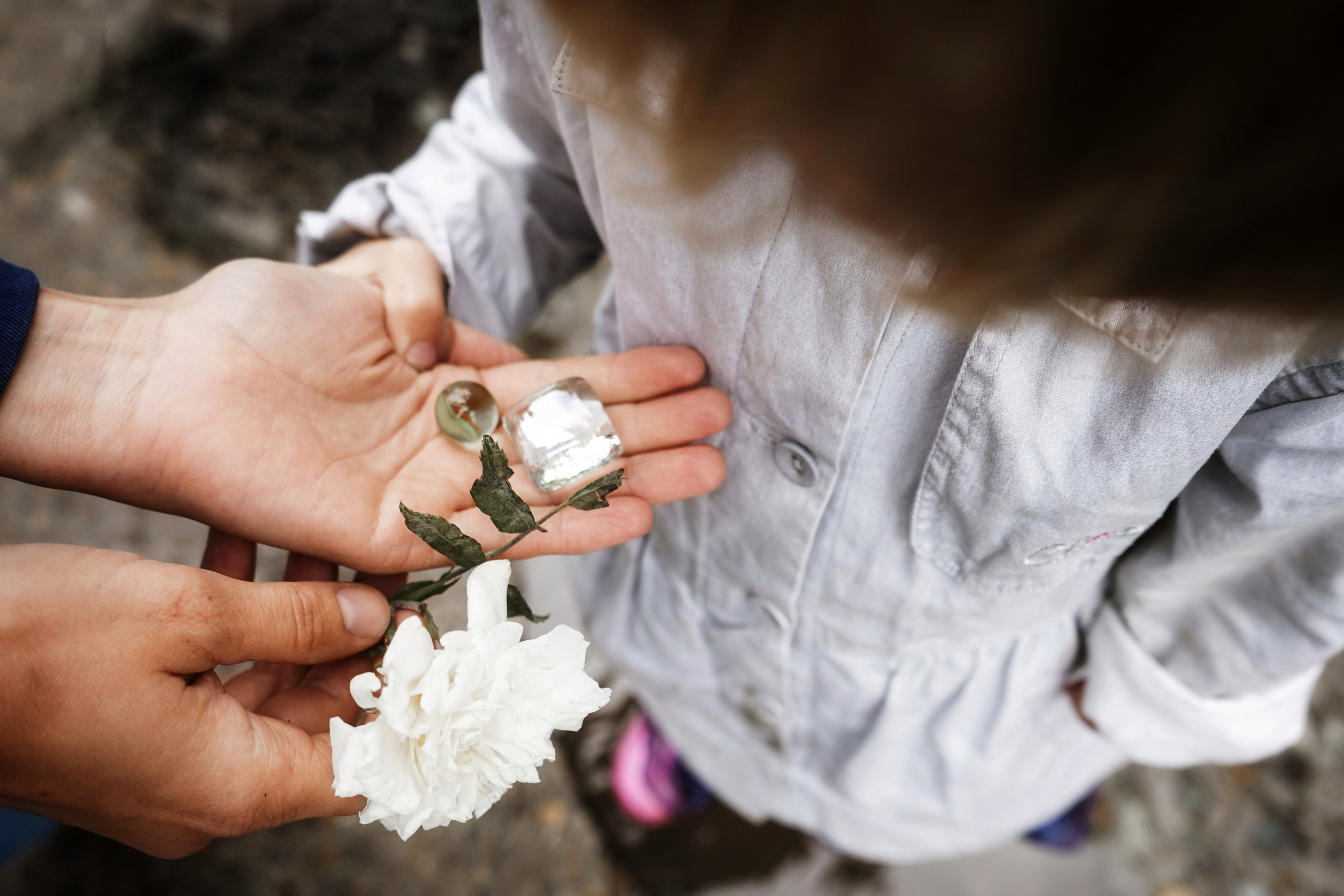 Лиза и её семья. Фотограф в Сочи Марина Барс