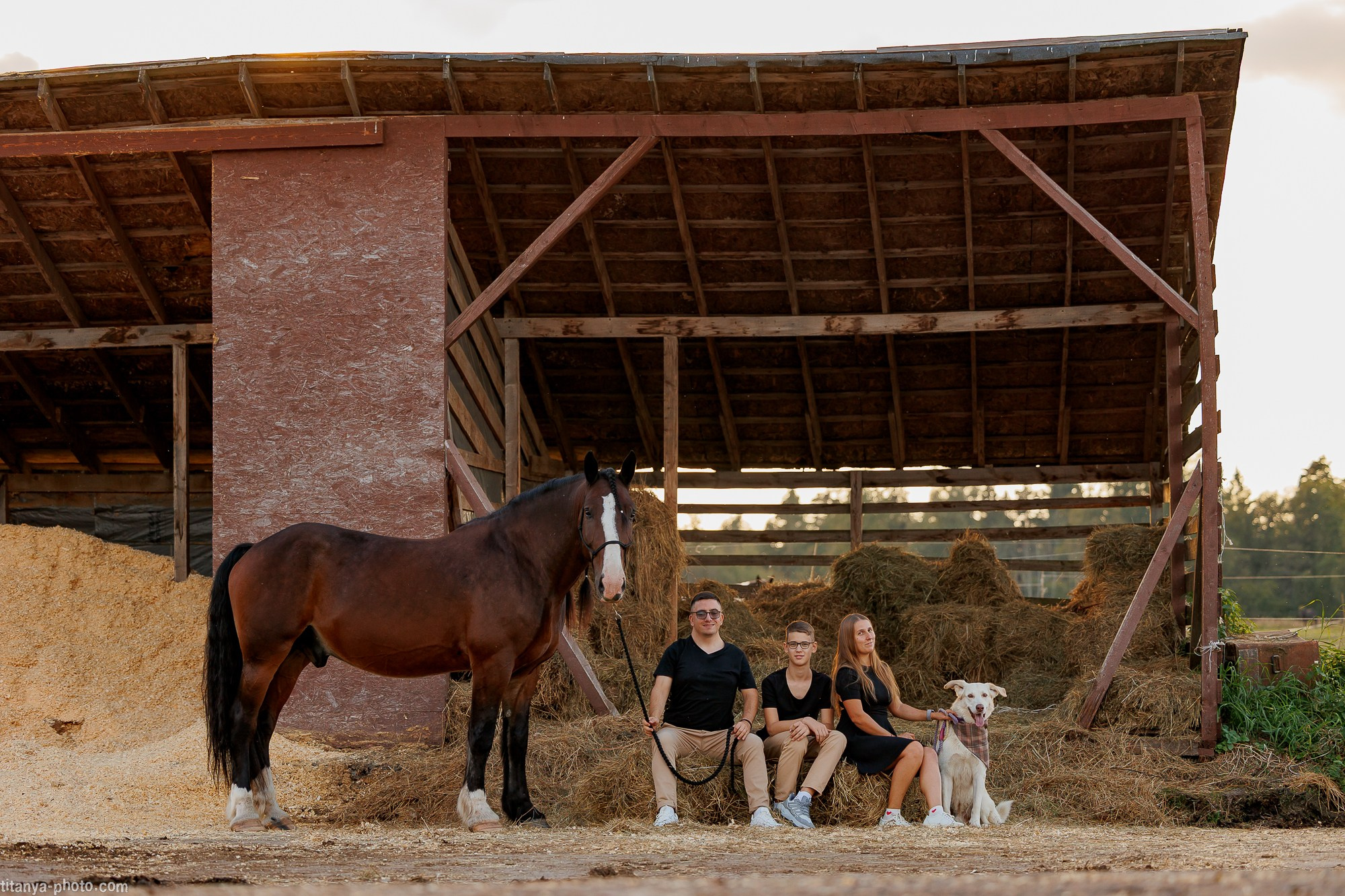 Закатная семейная фотосессия: про Настю и её дружную семью. Фотограф собак, фотограф-анималист Аня Титова (Titanya). Москва