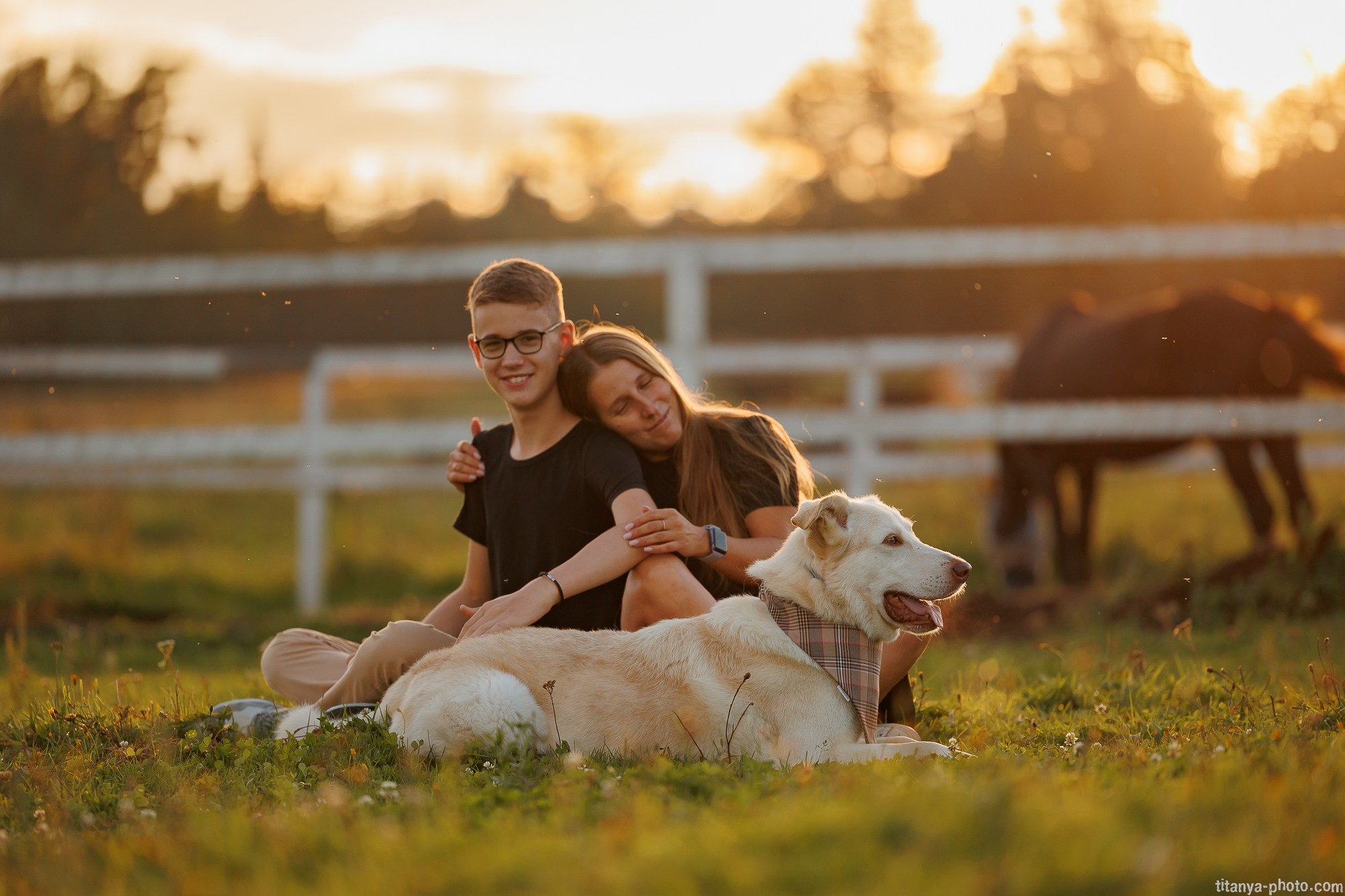 Закатная семейная фотосессия: про Настю и её дружную семью. Фотограф собак, фотограф-анималист Аня Титова (Titanya). Москва