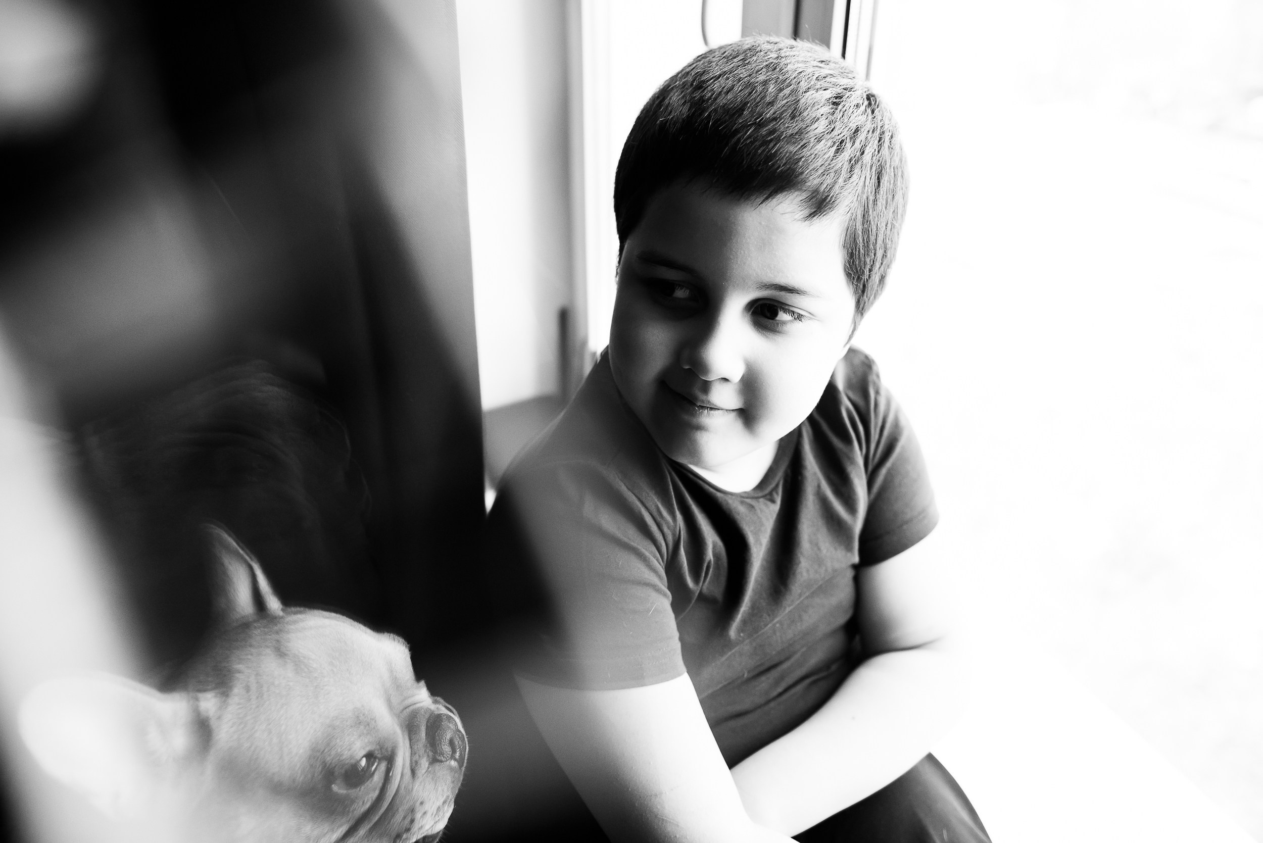 Бульдоги и компания. Семейный Фотограф в Москве Ирина Хохлова