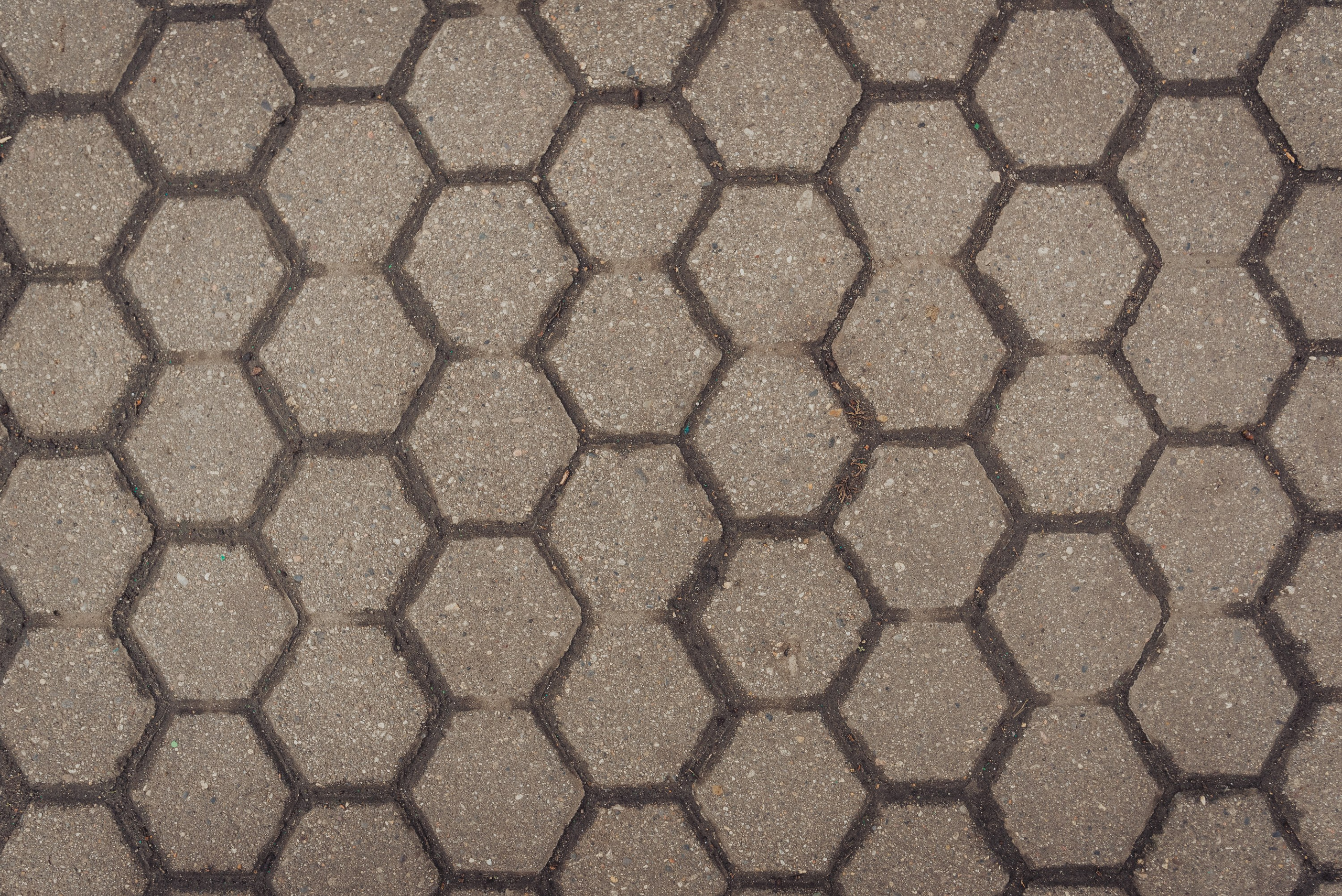 Проект #улицыгорода. Ярославль, площадь Челюскинцев. Документальный фотограф Илья Тихановский