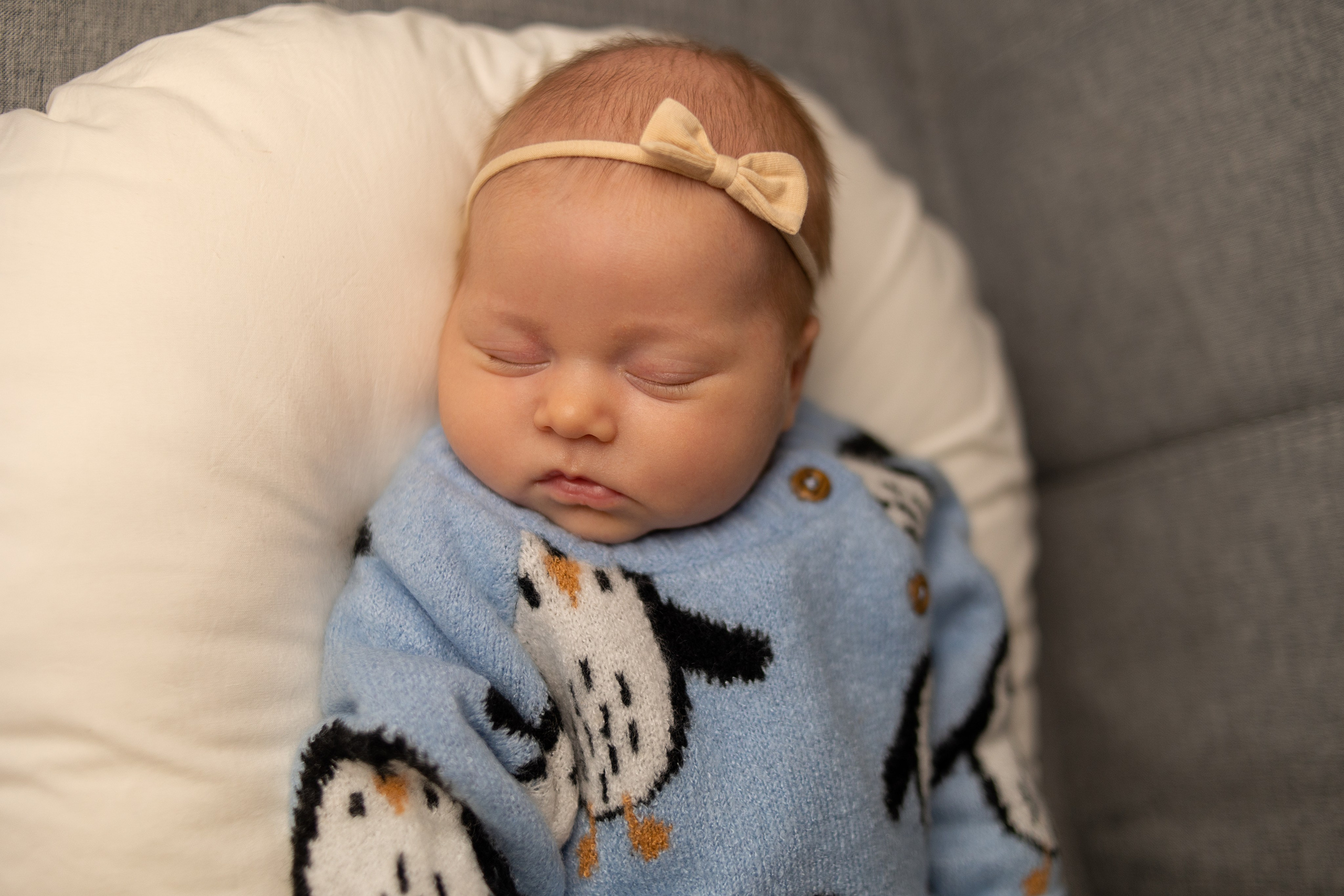 Фотосессия новорожденного в Санкт-Петербурге