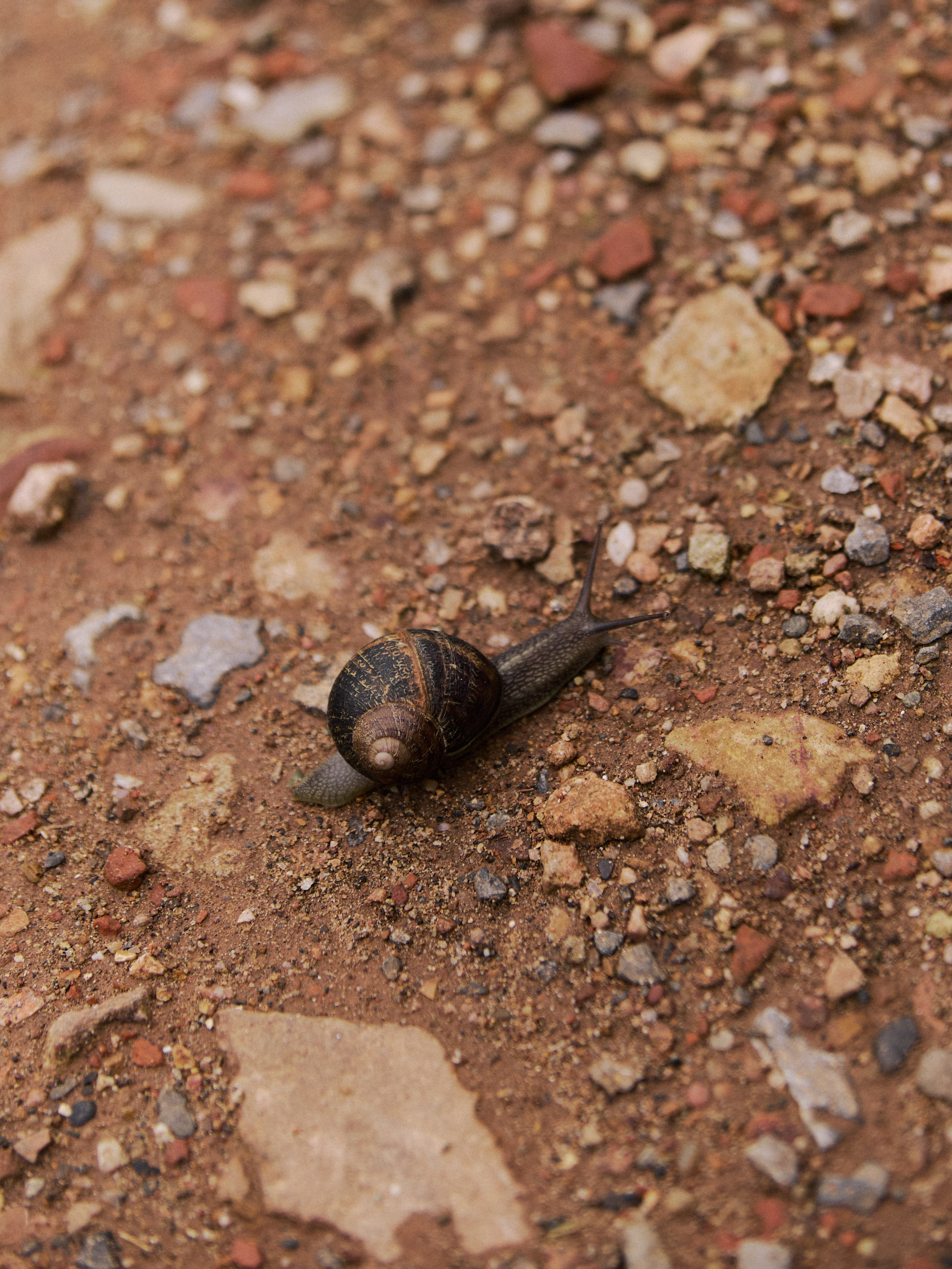 Другое 2. Jorgis Talè — photographer, kind person, teacher of arts and other mag