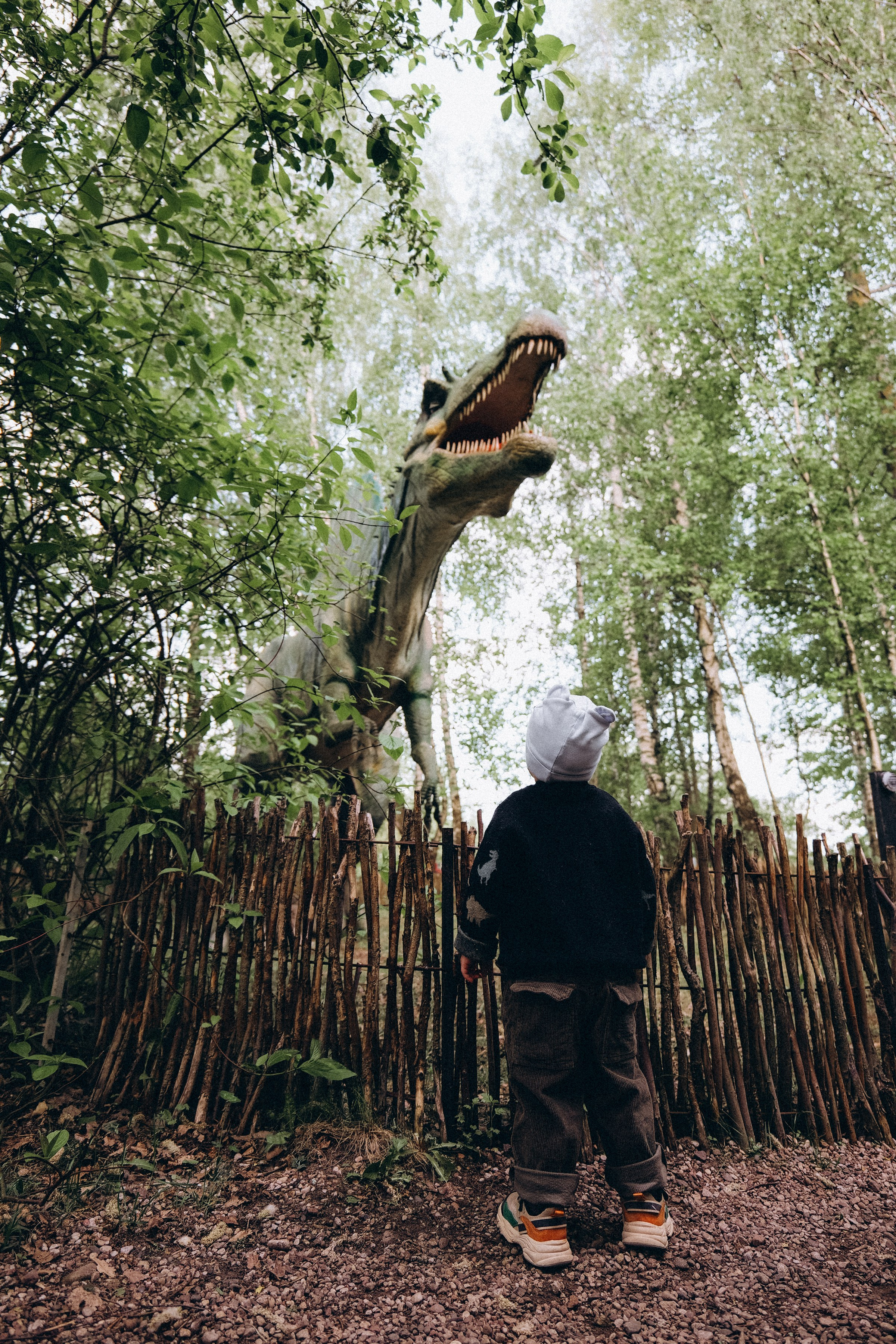 Семейная прогулка в Динопарке