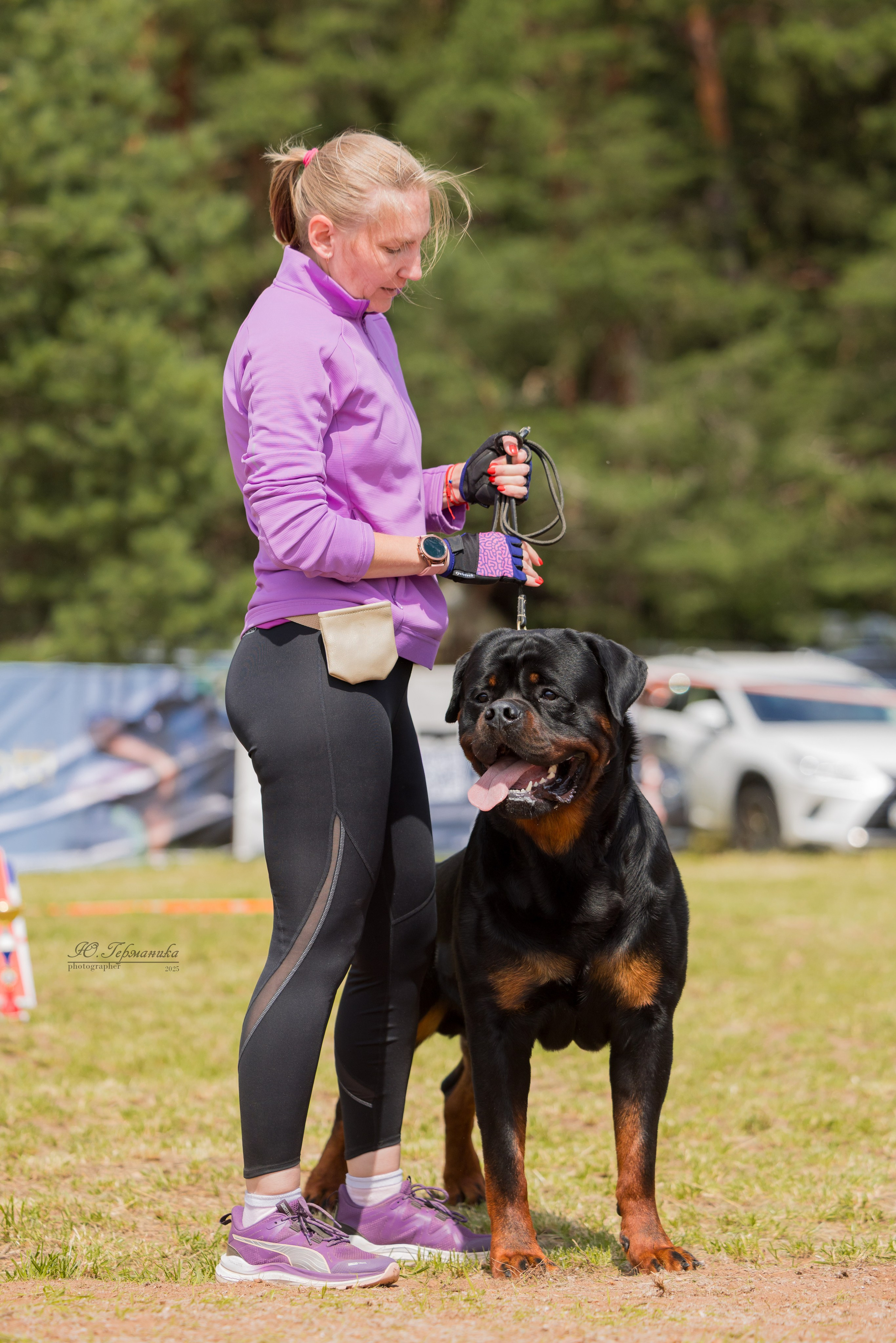 Тверь ротвейлеры 5-6.07.2025. Фотограф-анималист Юлия Германика