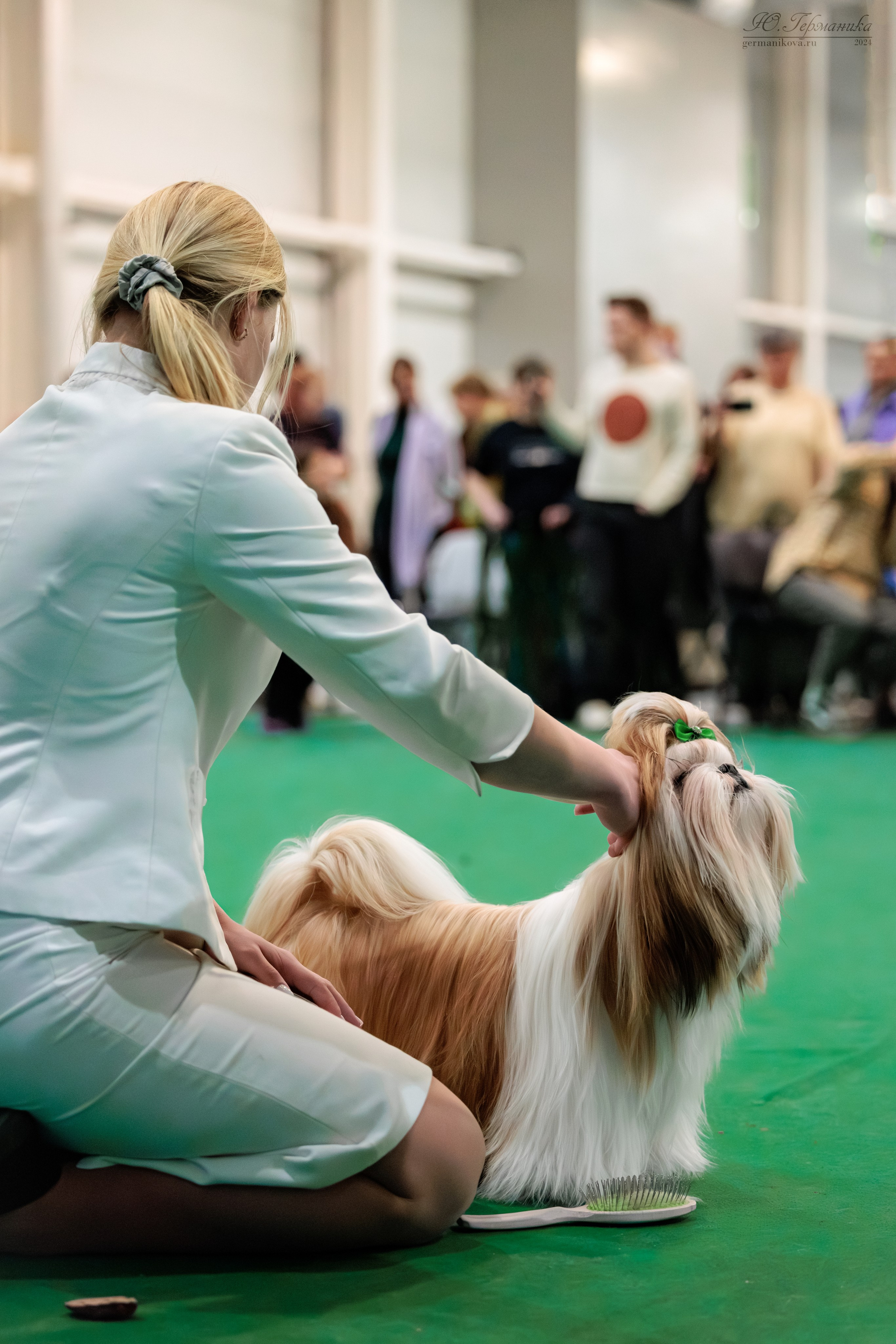 Крокус 21.12.2024,Сфера 29.12.2024. Фотограф-анималист Юлия Германика