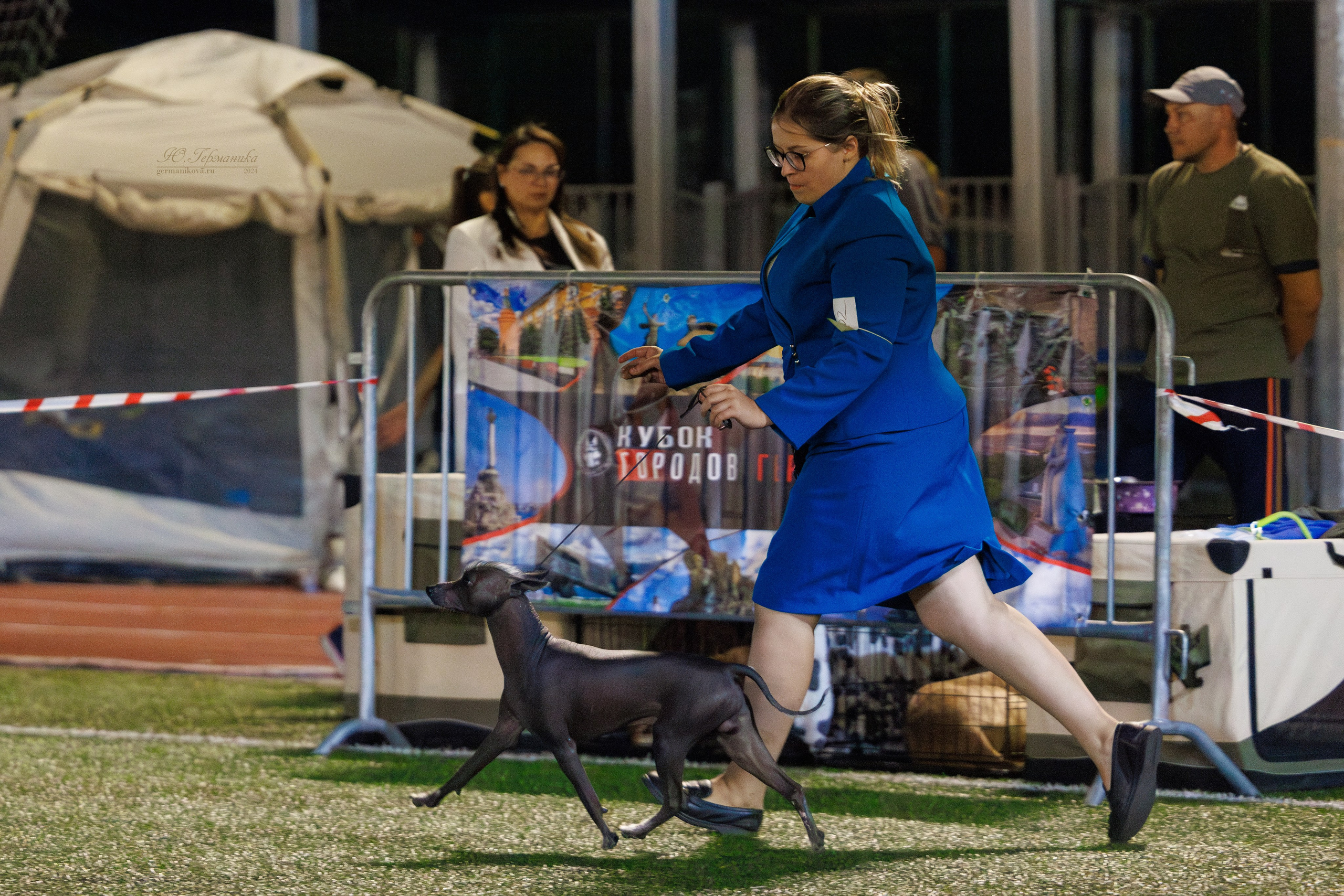 Волгоград 2-4.08.2024. Фотограф-анималист Юлия Германика