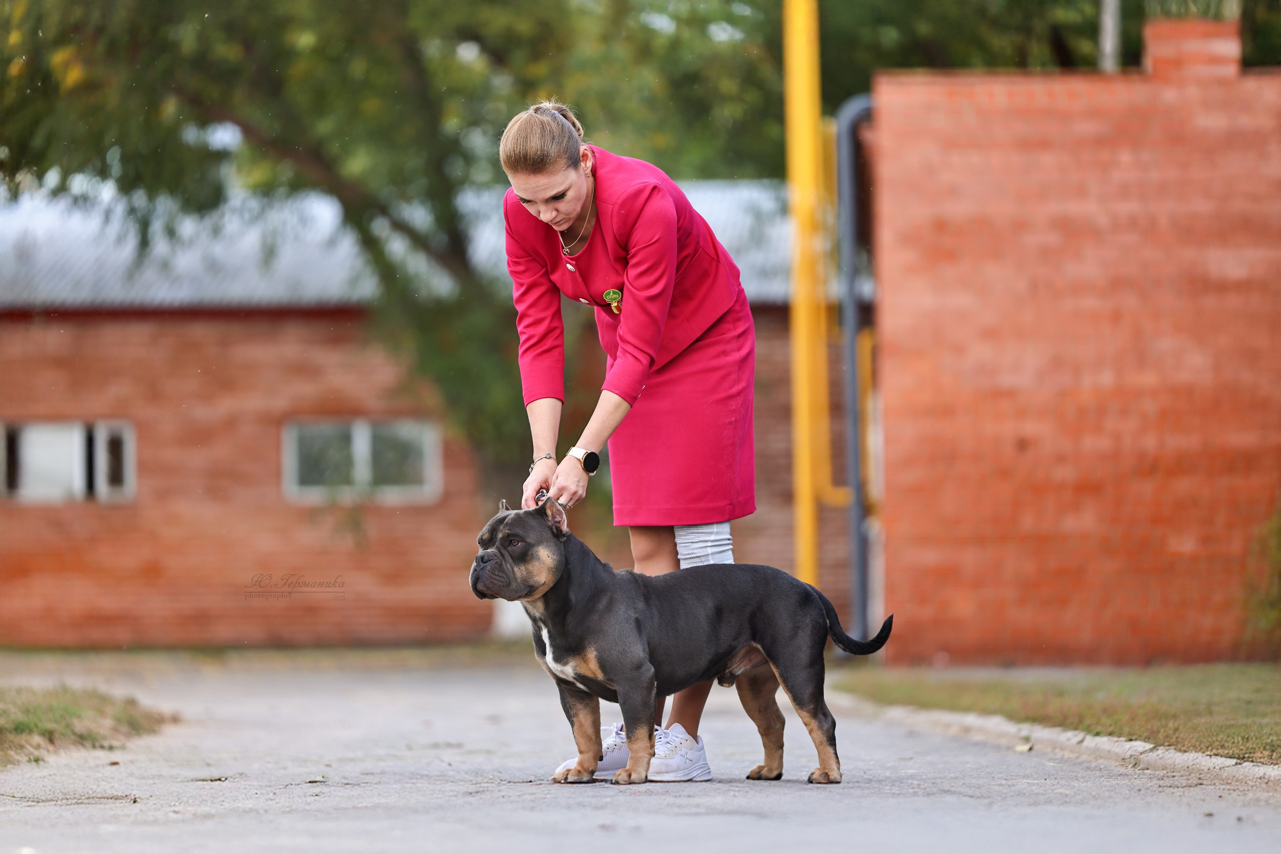 Астана 2хCACIB 26-28.09.2025. Фотограф-анималист Юлия Германика