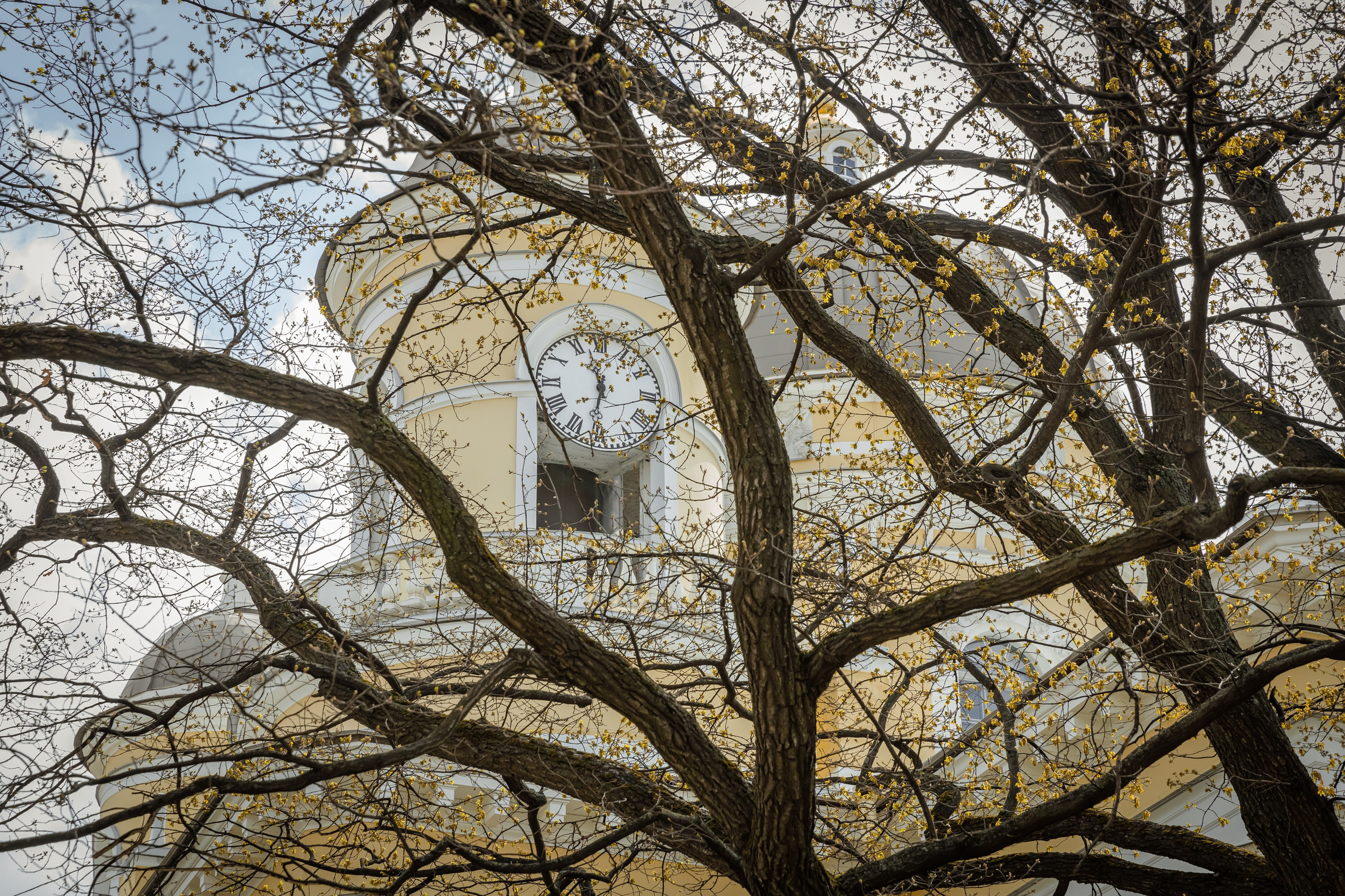 Спасо-Преображенский. Свадебный фотограф, крещение, венчание СПБ, Белгород Анна Коршунова