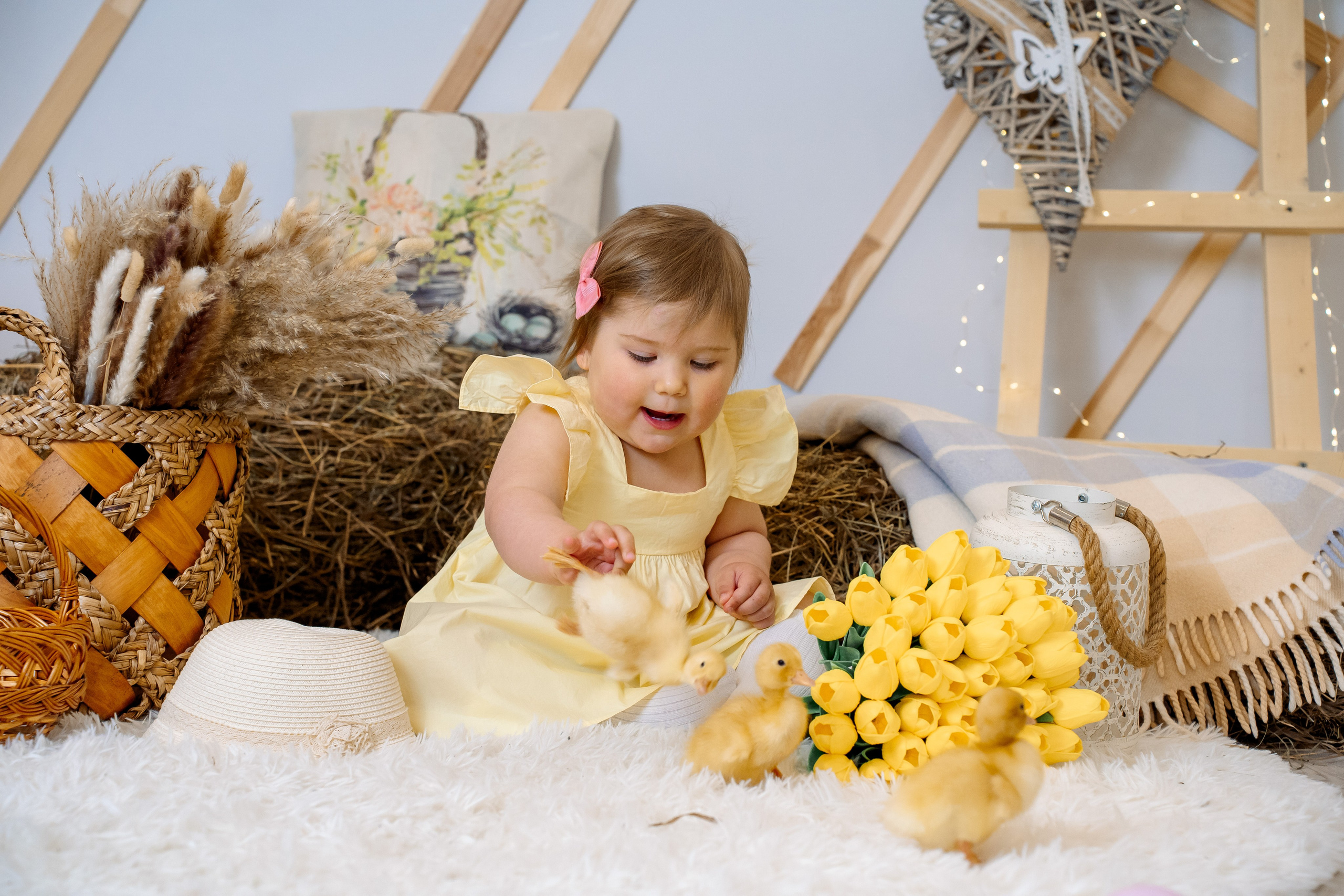 Утята. Фотограф Казакова Анастасия