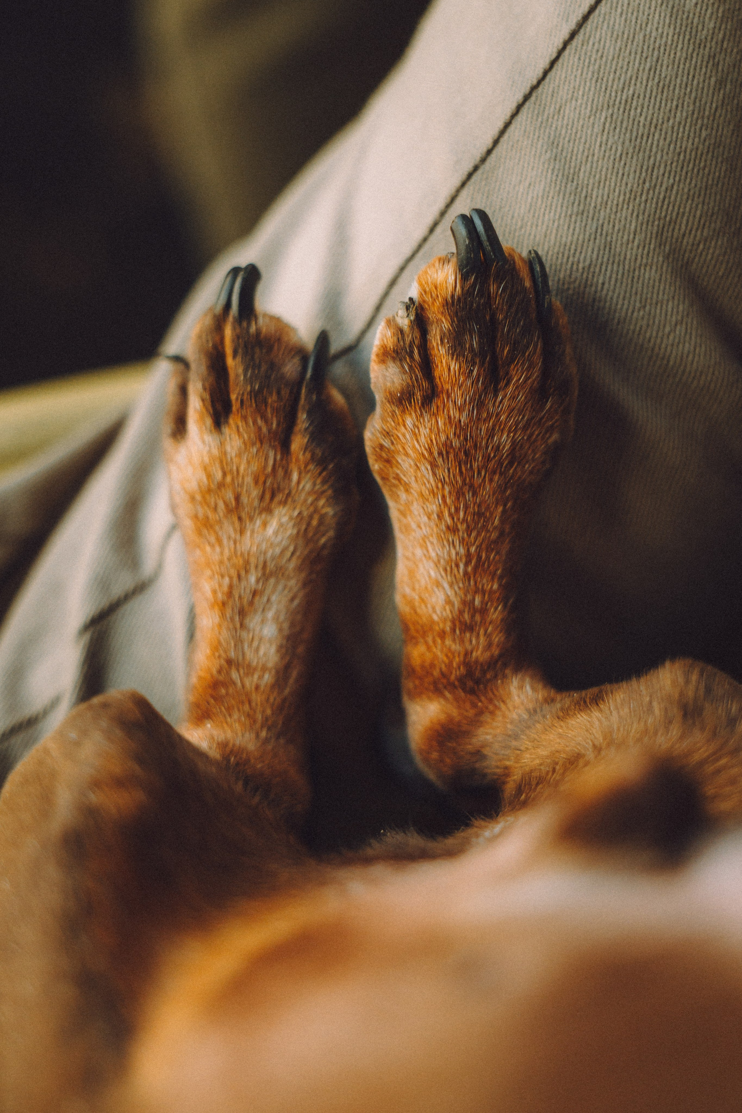 Кокос, Света, Динара и Вилли