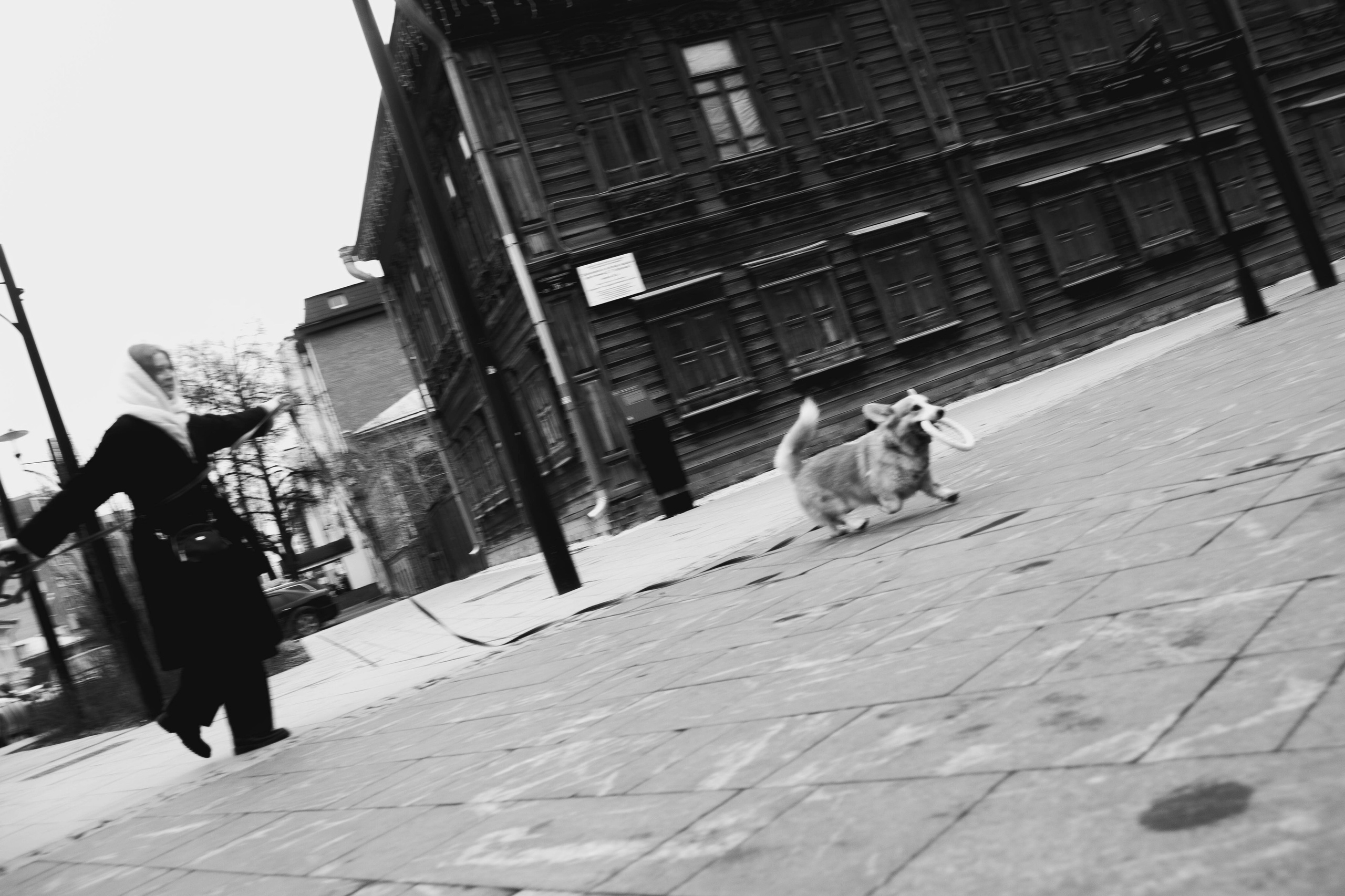 Уличная съемка. Ph | Tyumen