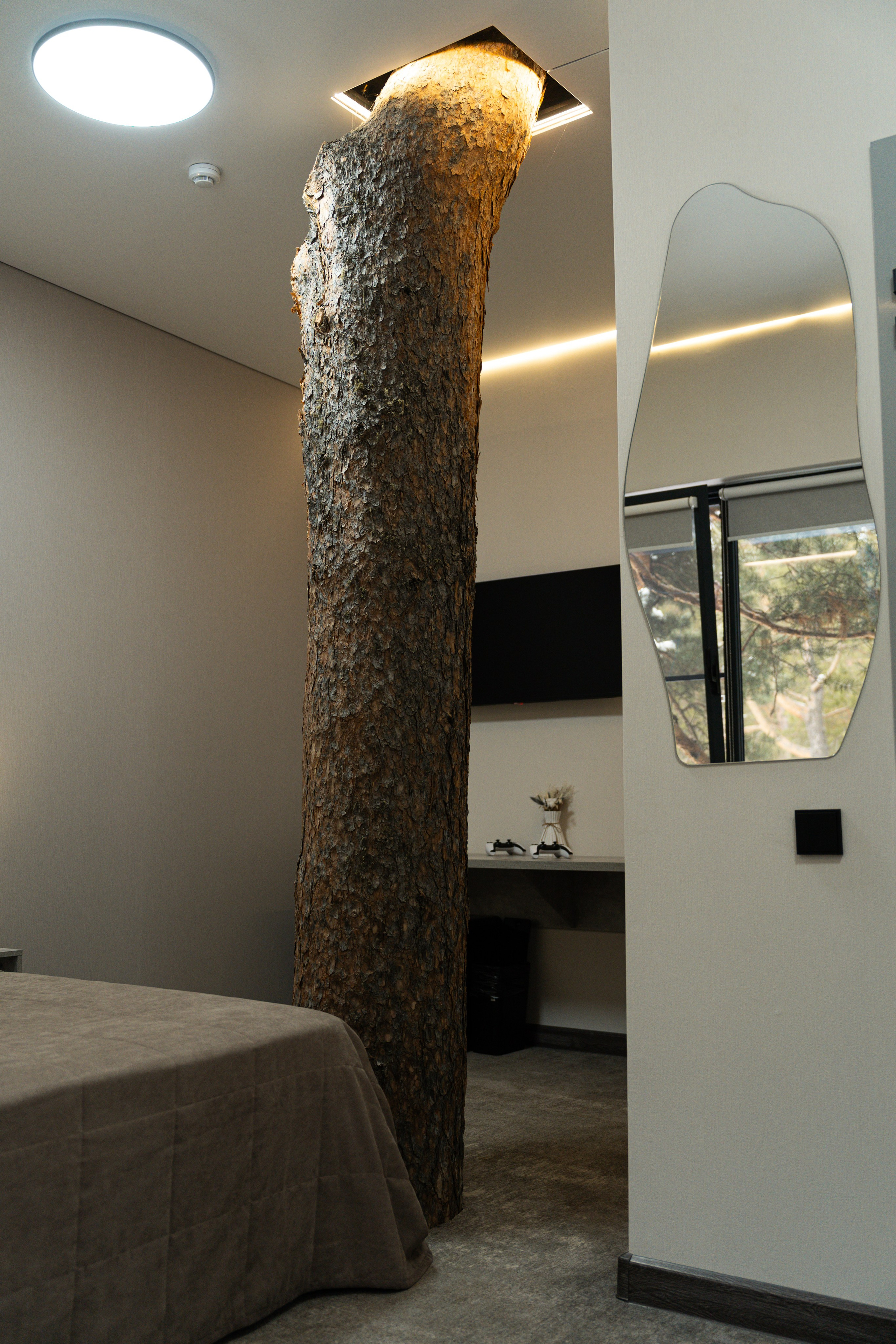 Эклер. Фотограф и видеограф Елена Хмелевская