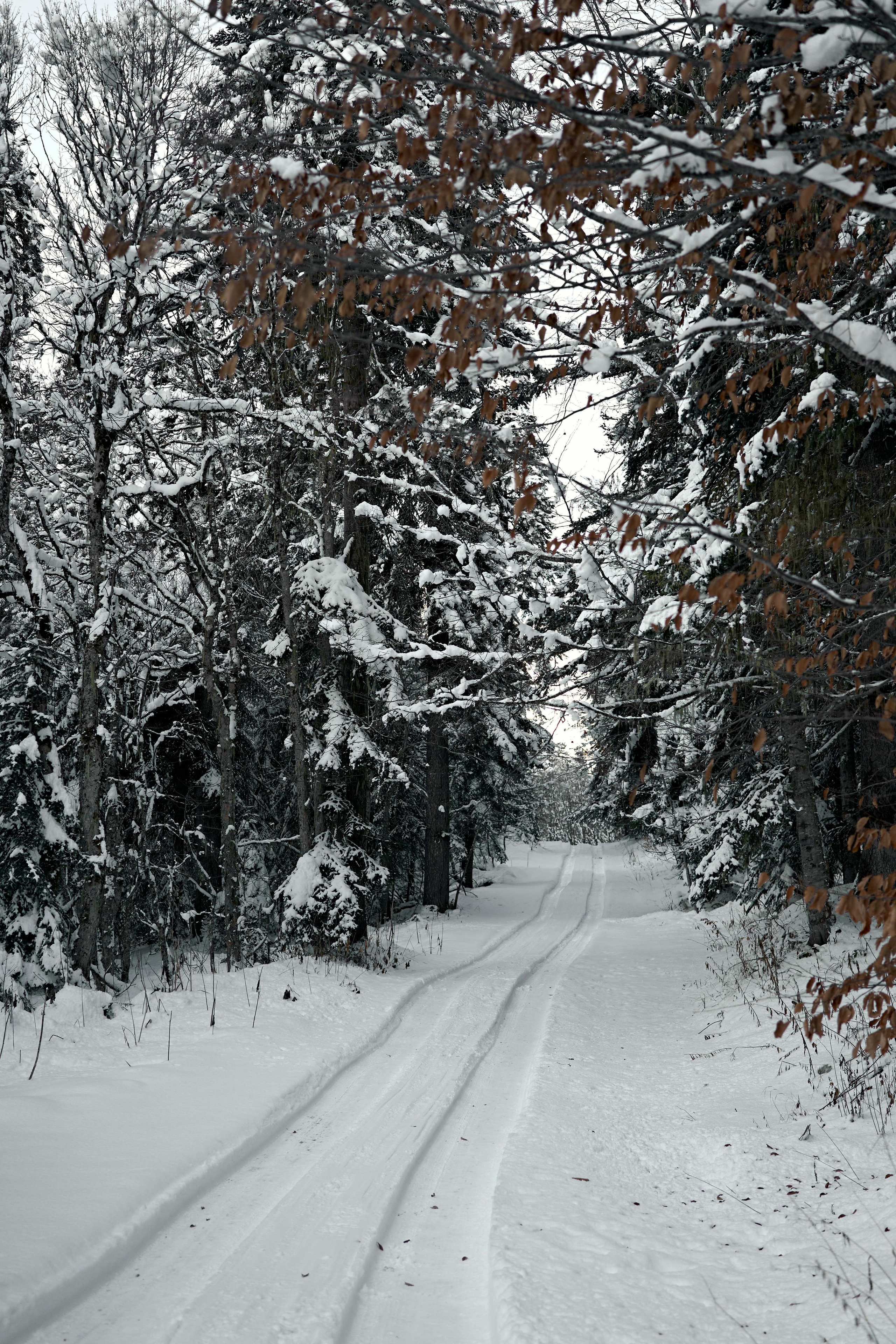 Блог. Фотограф и видеограф Елена Хмелевская