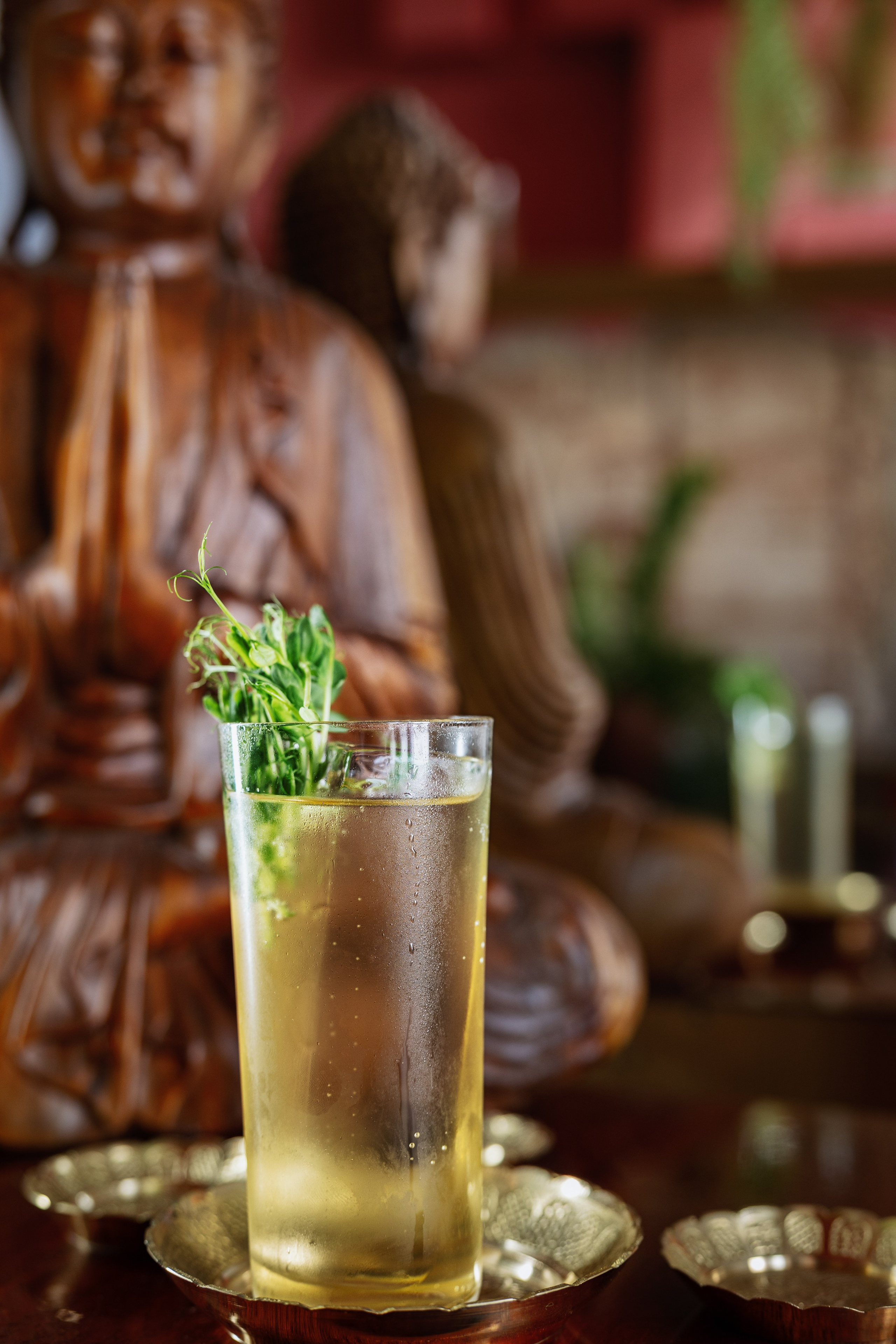 «Шалом & Шанти». Фото и видео контент за одну съемку — Веретенников Егор