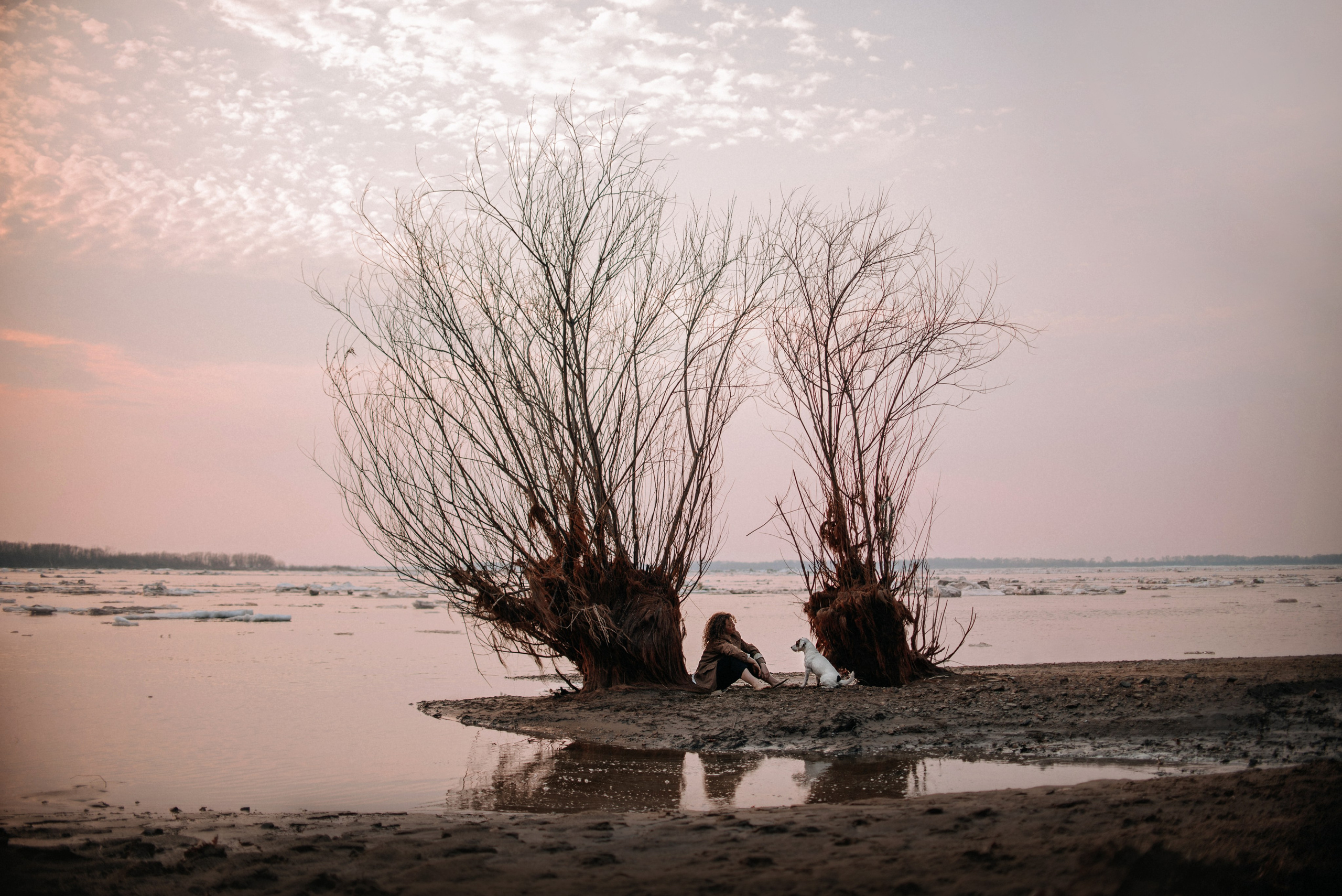 Прогулка: Ира и Гром весной. Портфолио