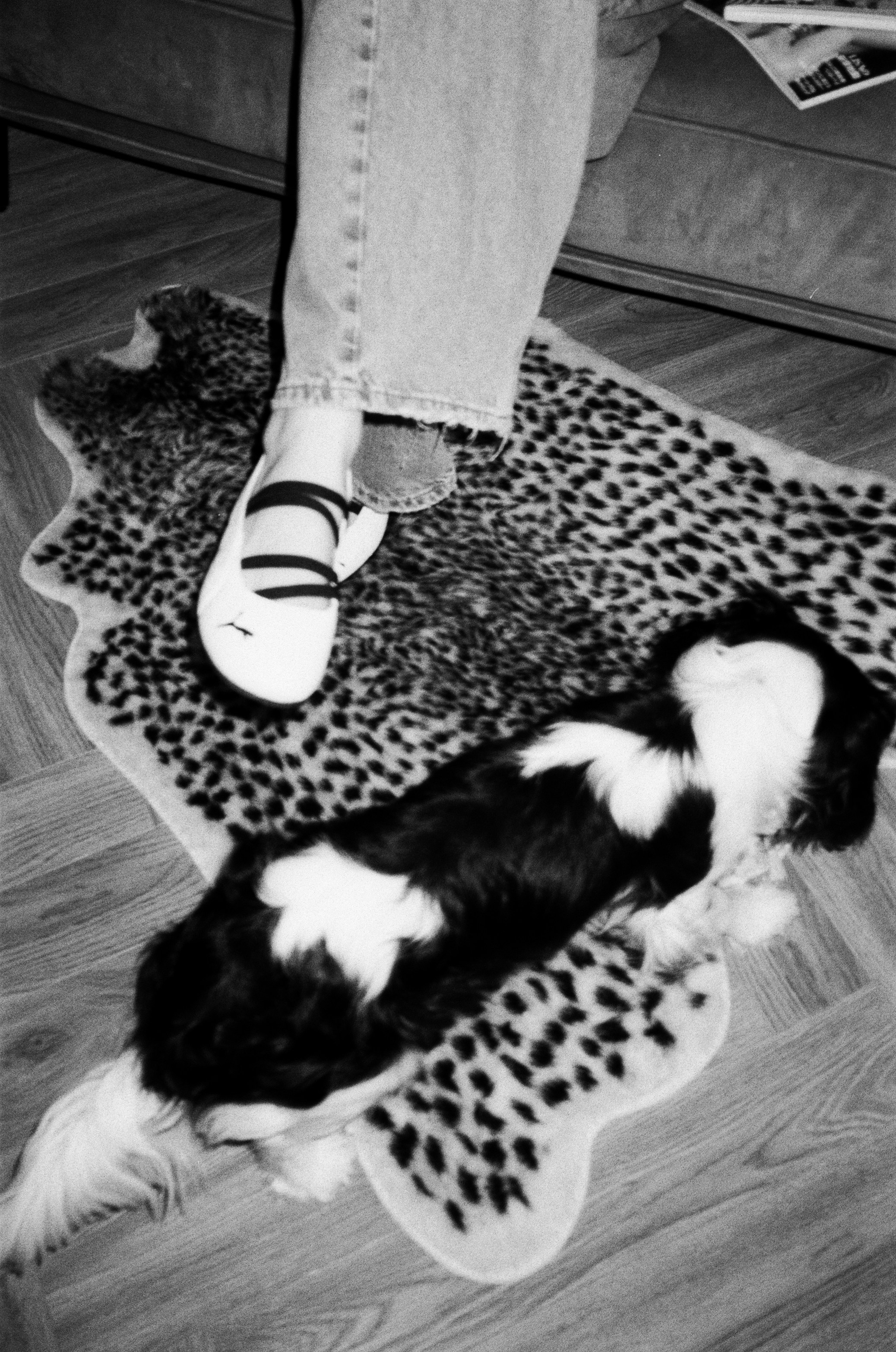 Марго. Главная