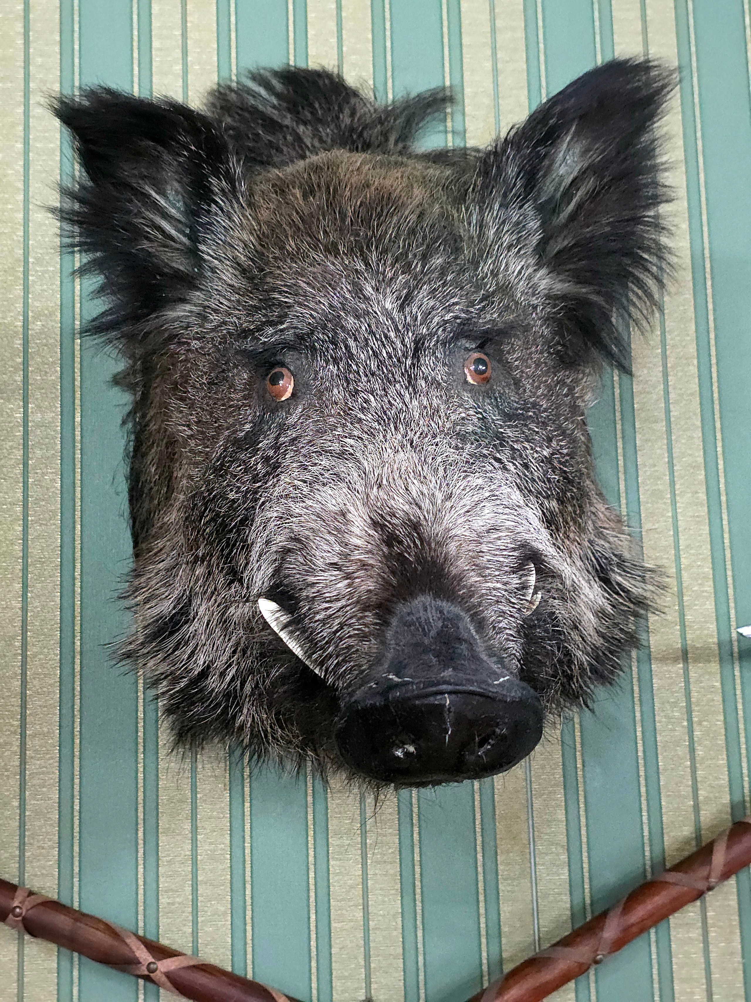 Музей по-прежнему во флигелях у въездных ворот