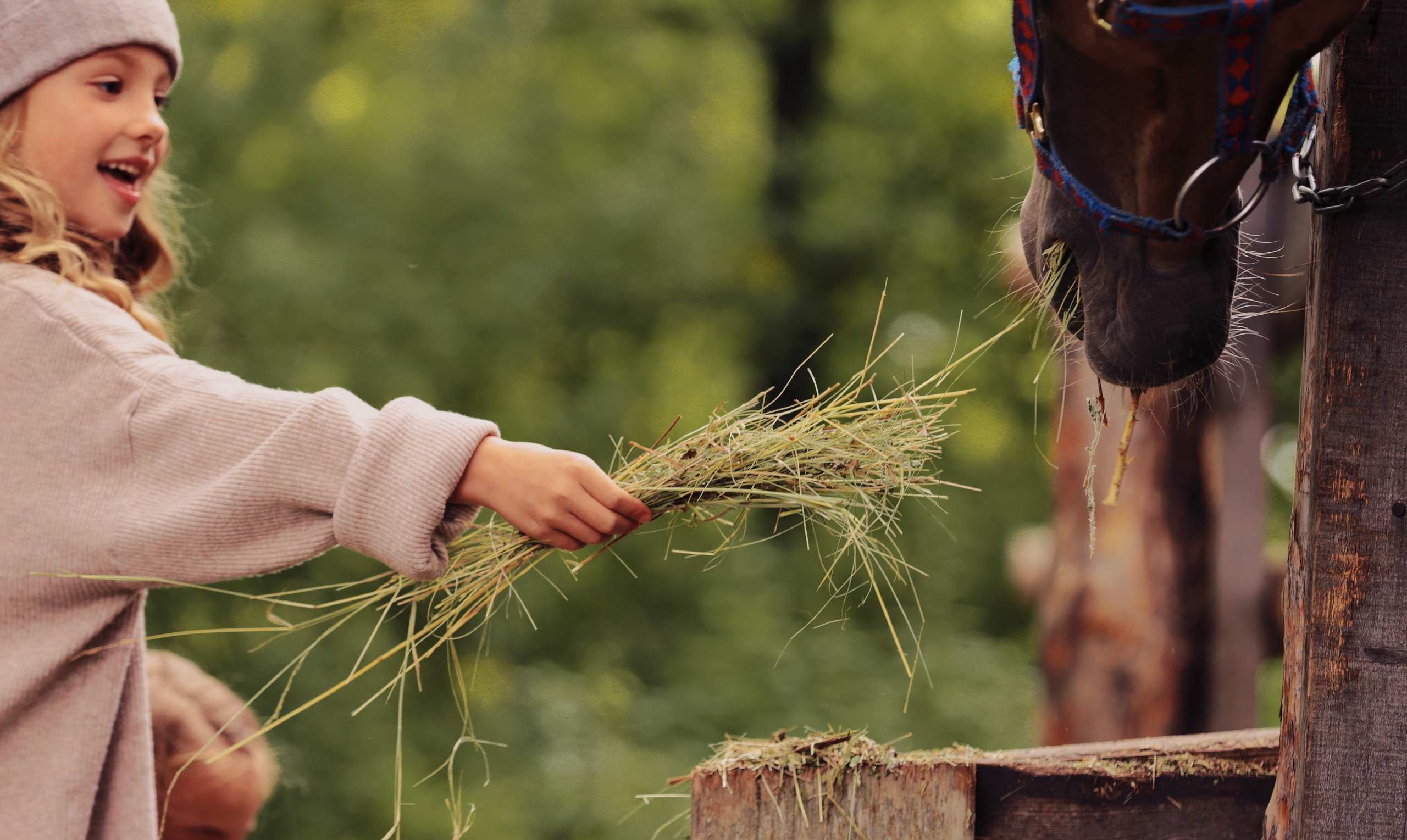 Уличные съемки. Спортивный и семейный фотограф в Екатеринбурге Ольга Горбунова меня